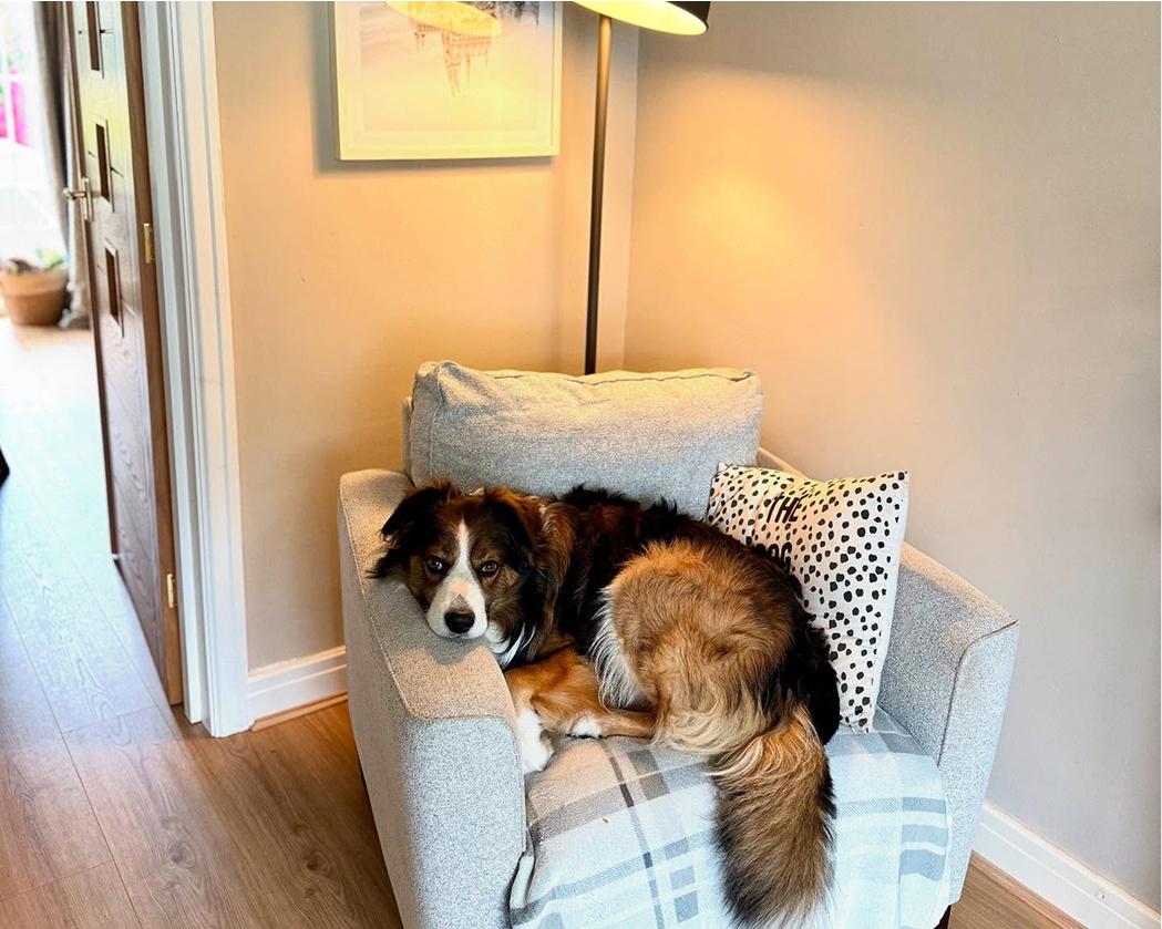 'Homes as styled by you' 