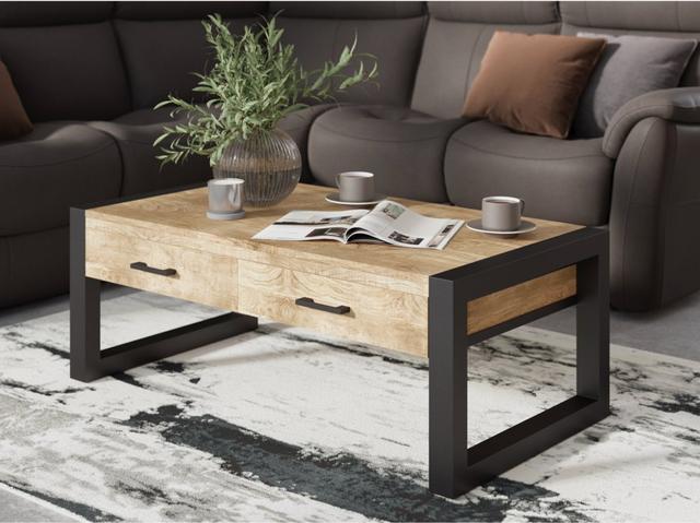 1628_long_living_room_indus_valley_fire_coffee_table_17