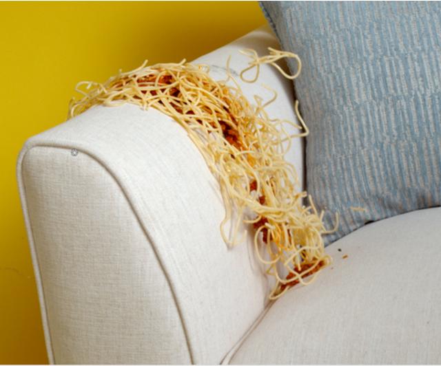 341-article-living-proof-spaghetti