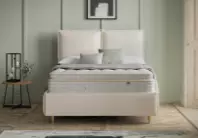 The real bed outlet company