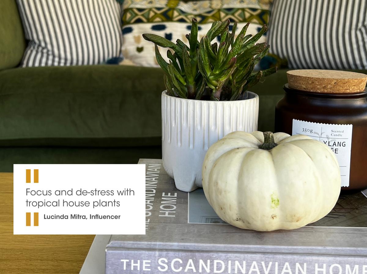 8534_Garden_influencer_plants