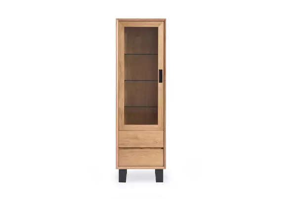 Modern curio cabinet discount