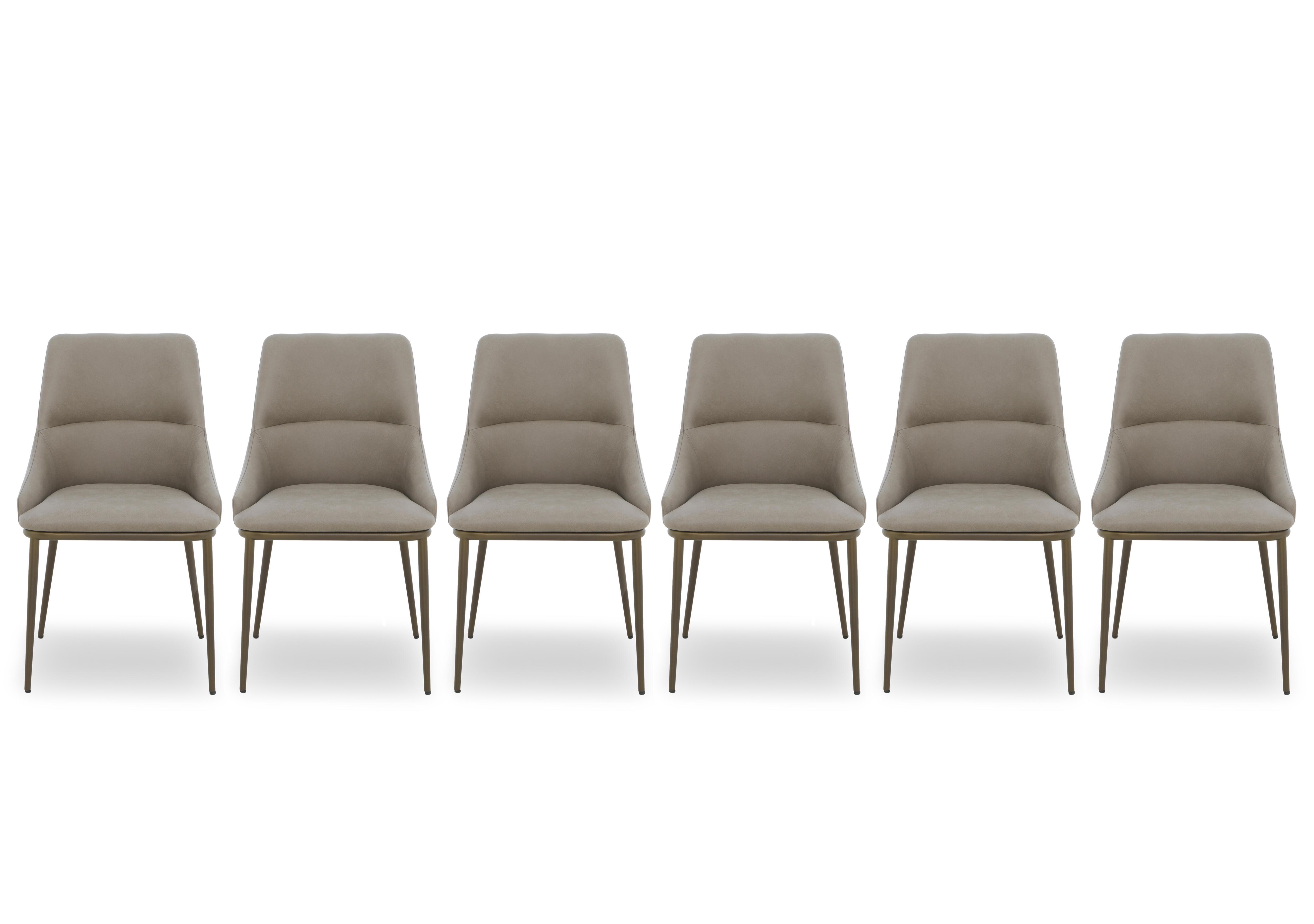 Camino Set of 6 Dining Chairs in  on Furniture Village