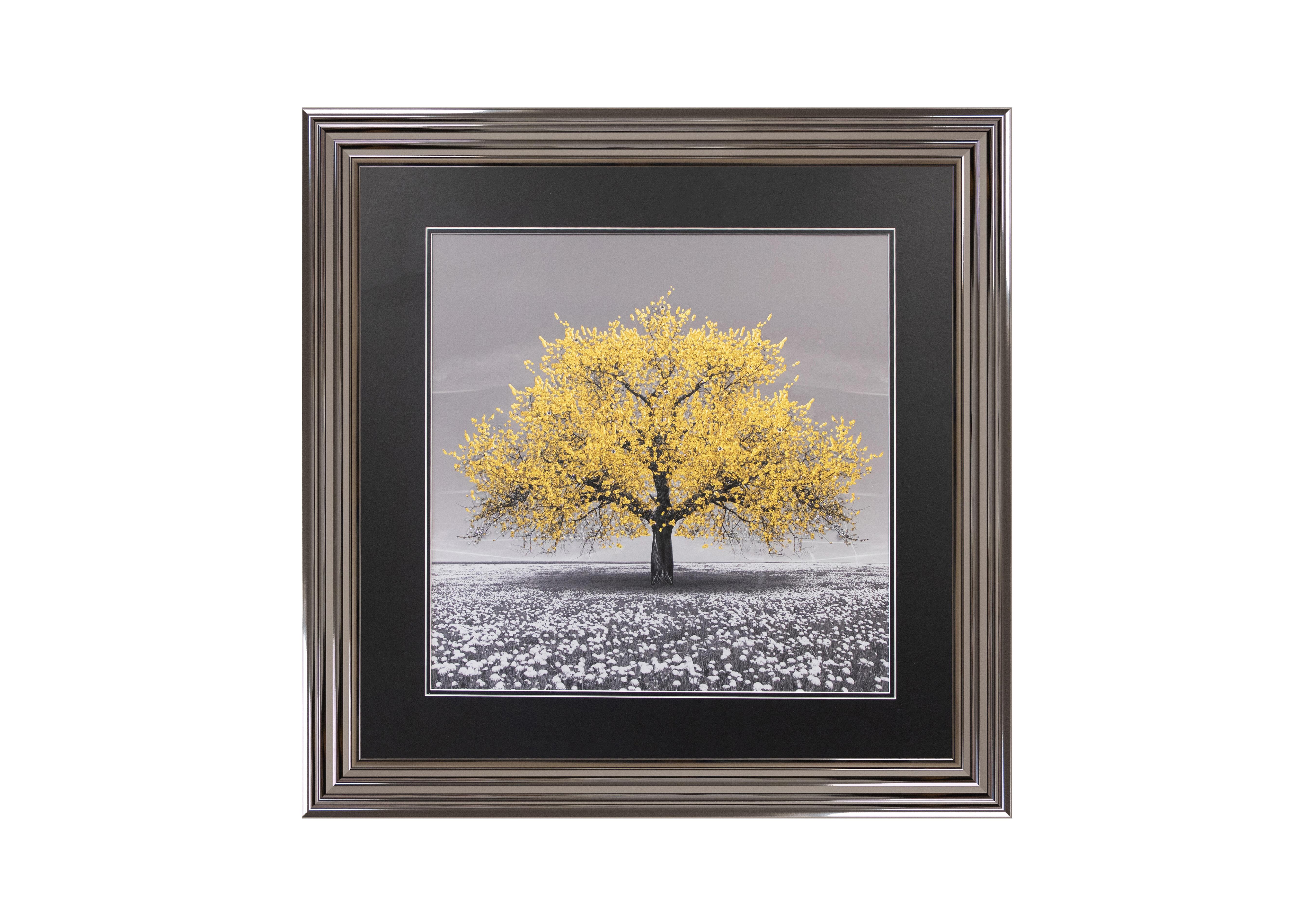 Yellow Cherry Tree 90x90 Framed Picture in  on Furniture Village