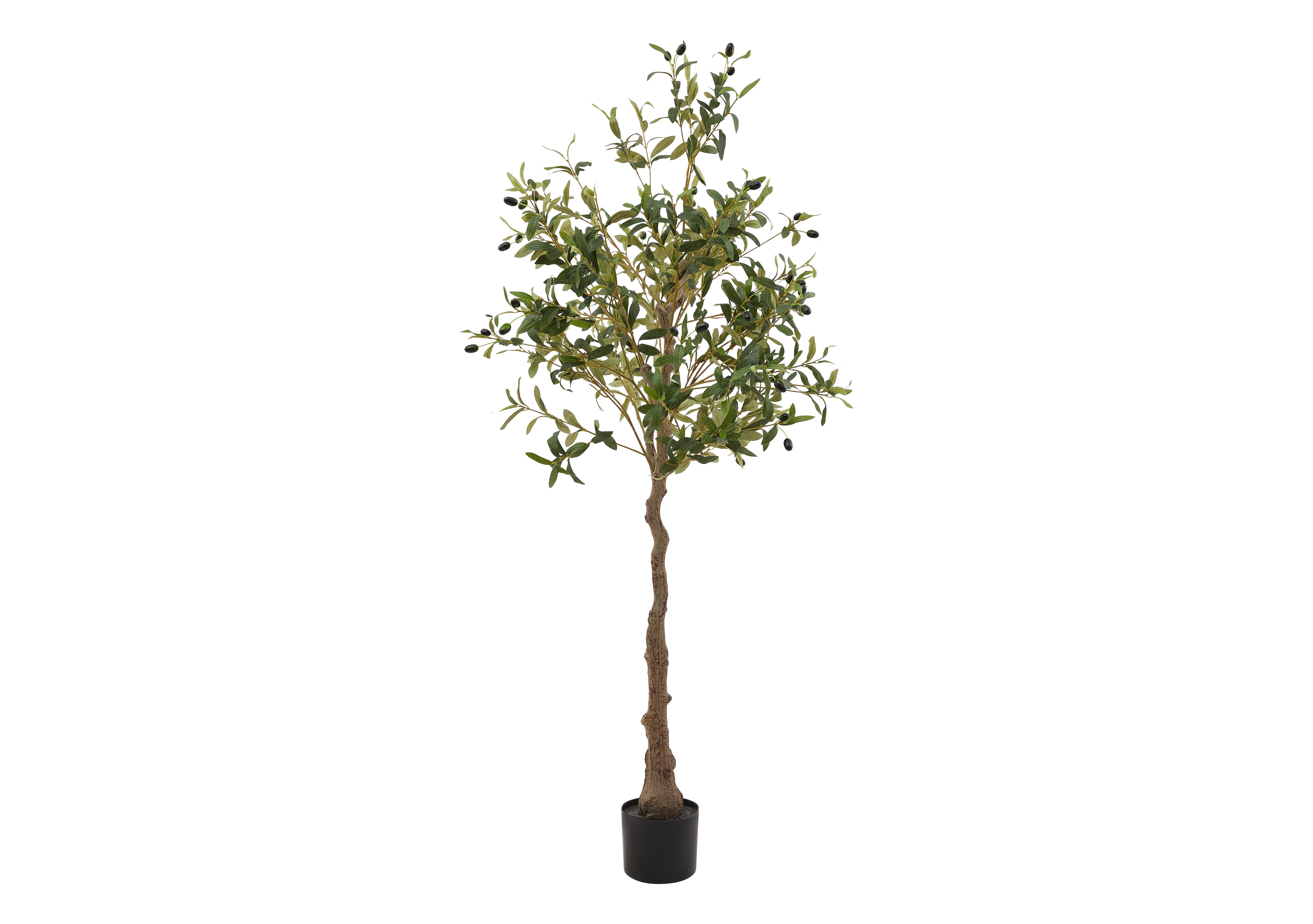 Calabria Olive Tree in  on Furniture Village