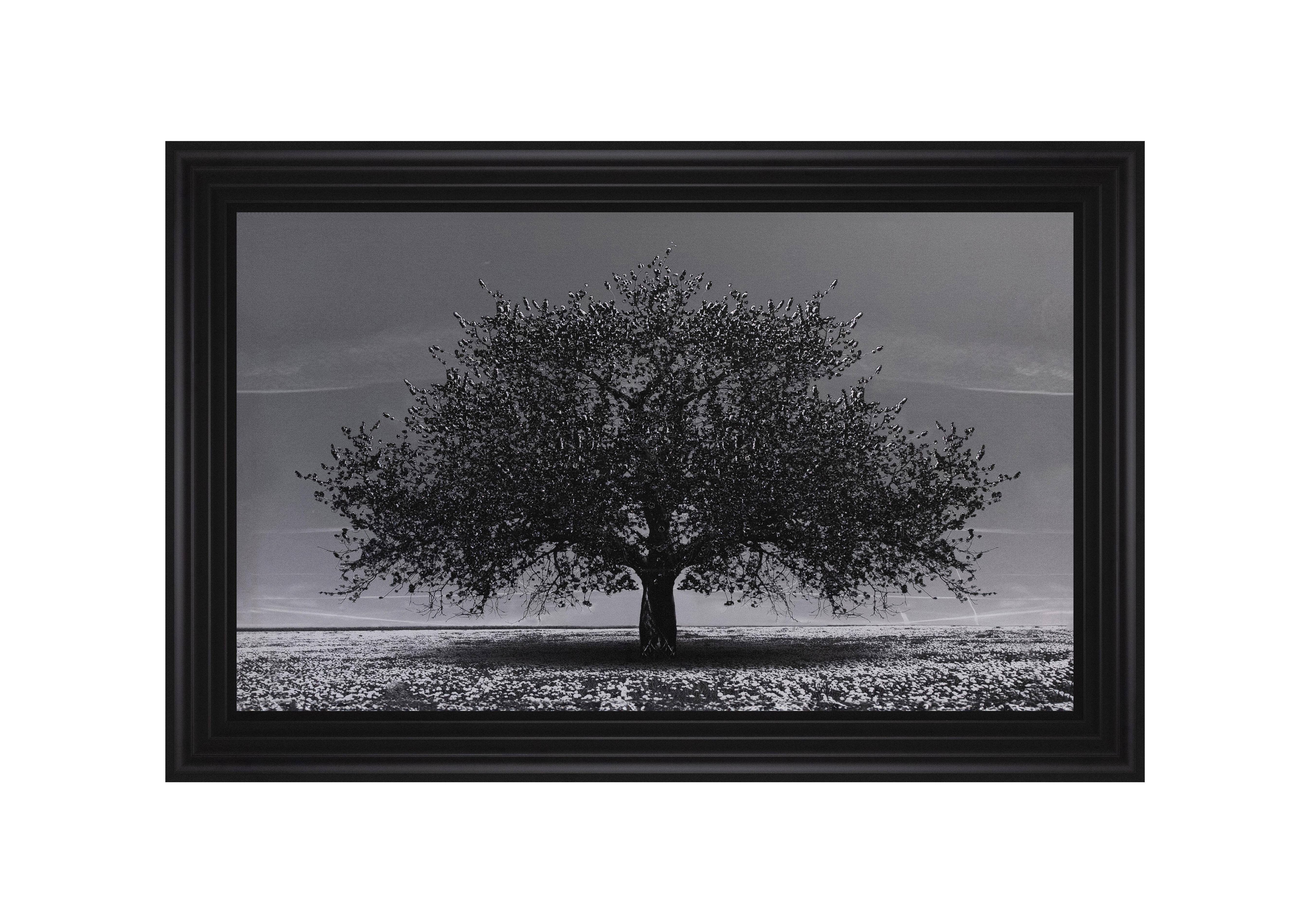 Cherry Tree Black Framed Art in  on Furniture Village