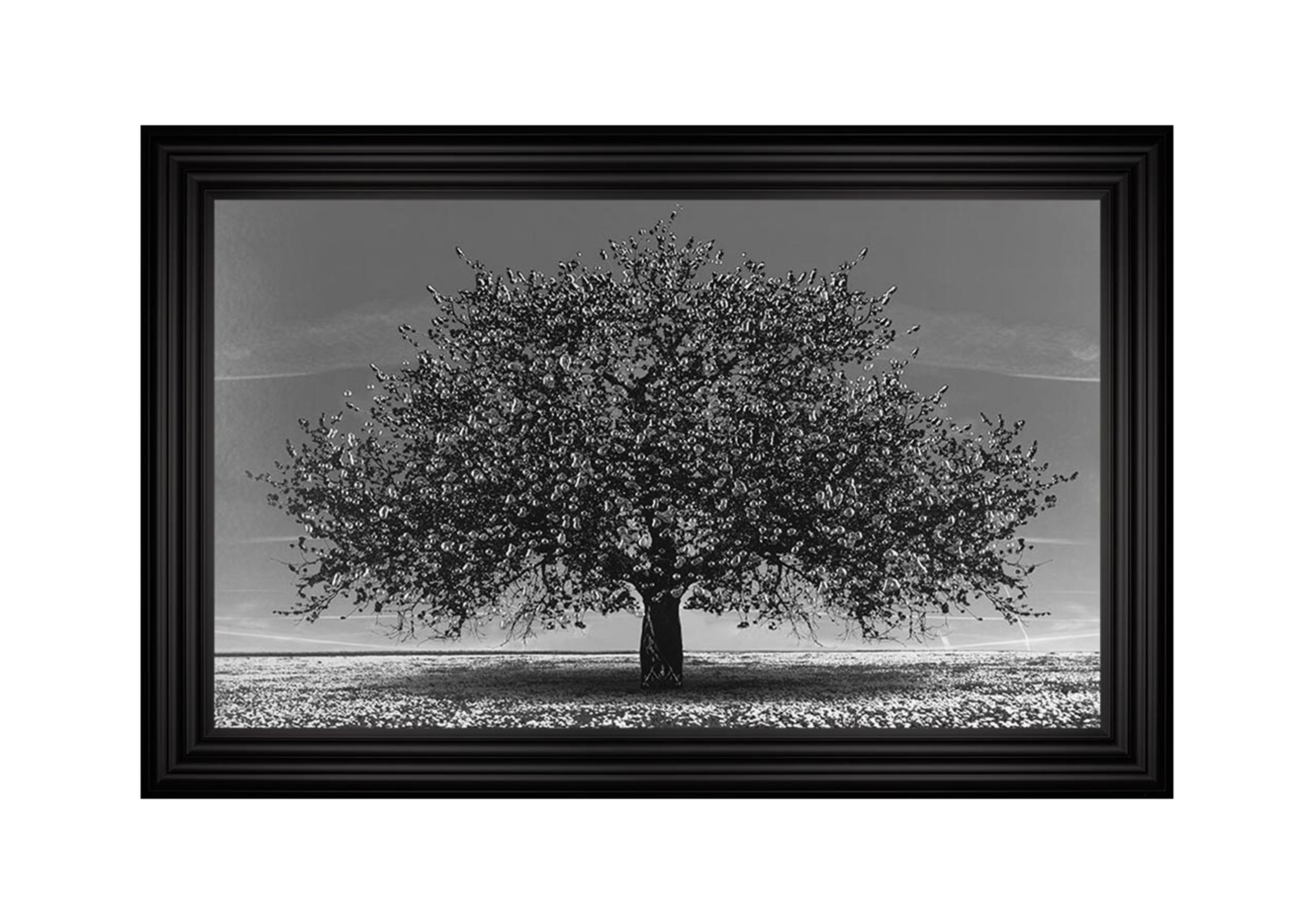 Cherry Tree Black Framed Art in  on Furniture Village