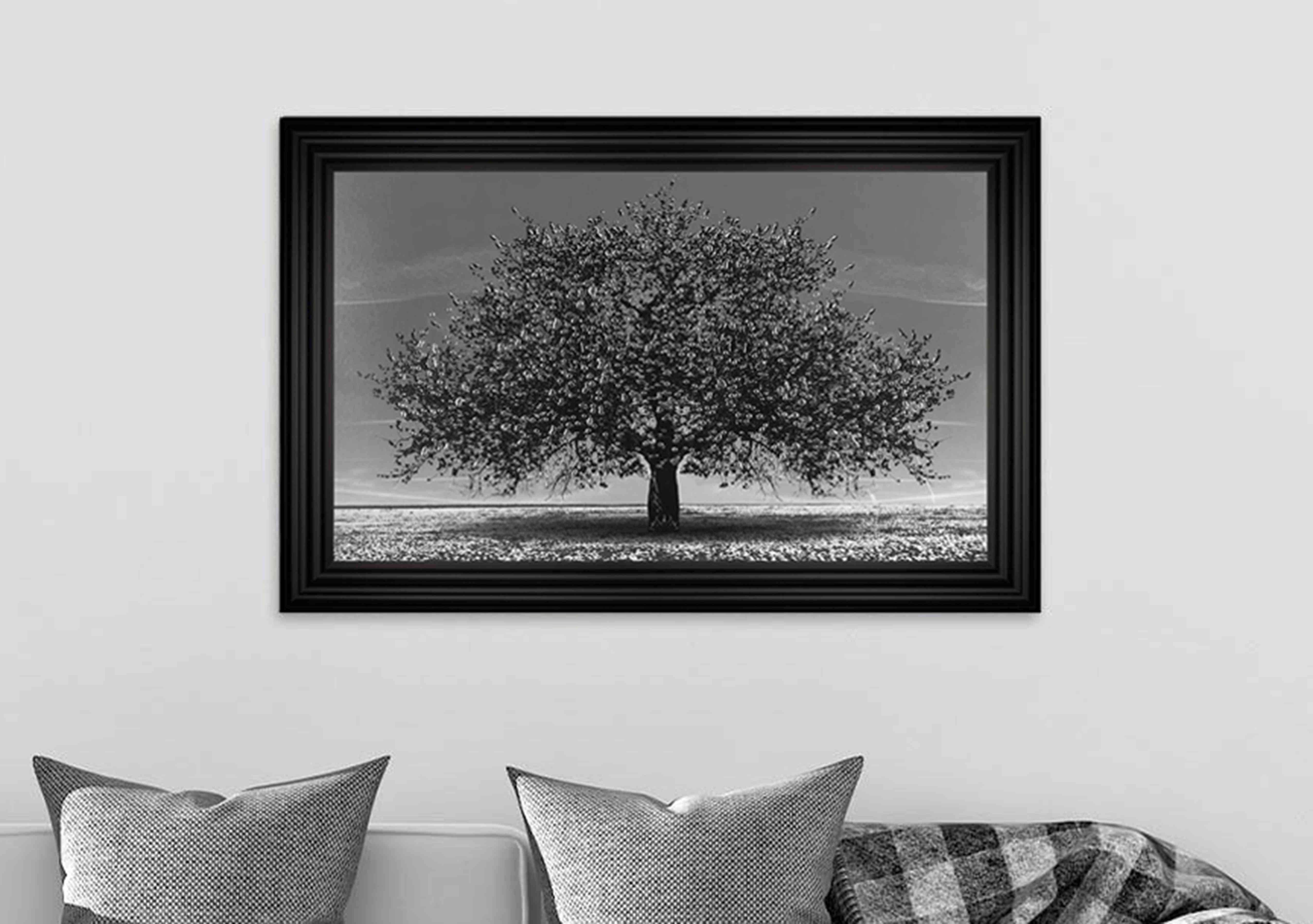 Cherry Tree Black Framed Art in  on Furniture Village