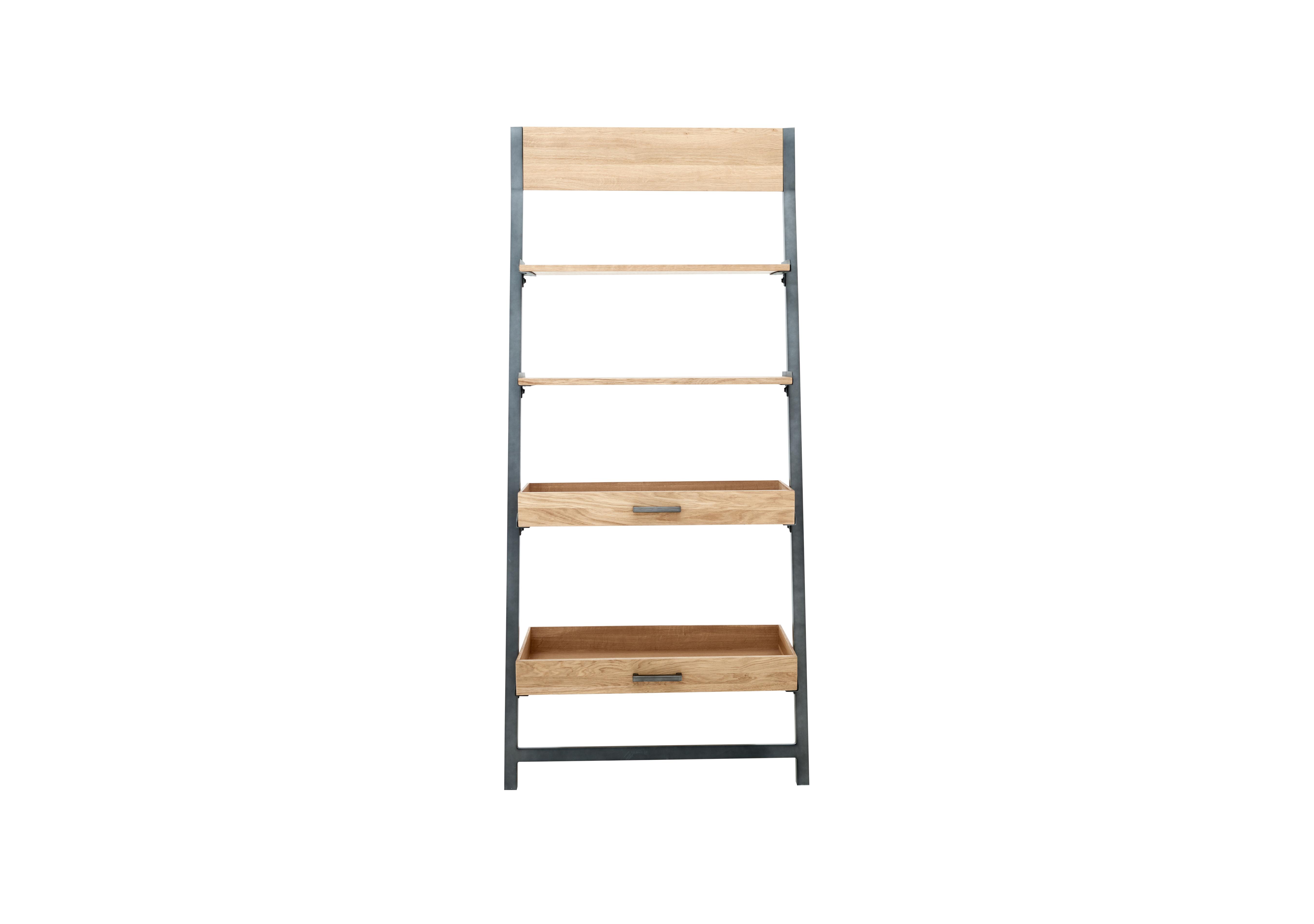 Earth Ladder Shelving Unit in  on Furniture Village