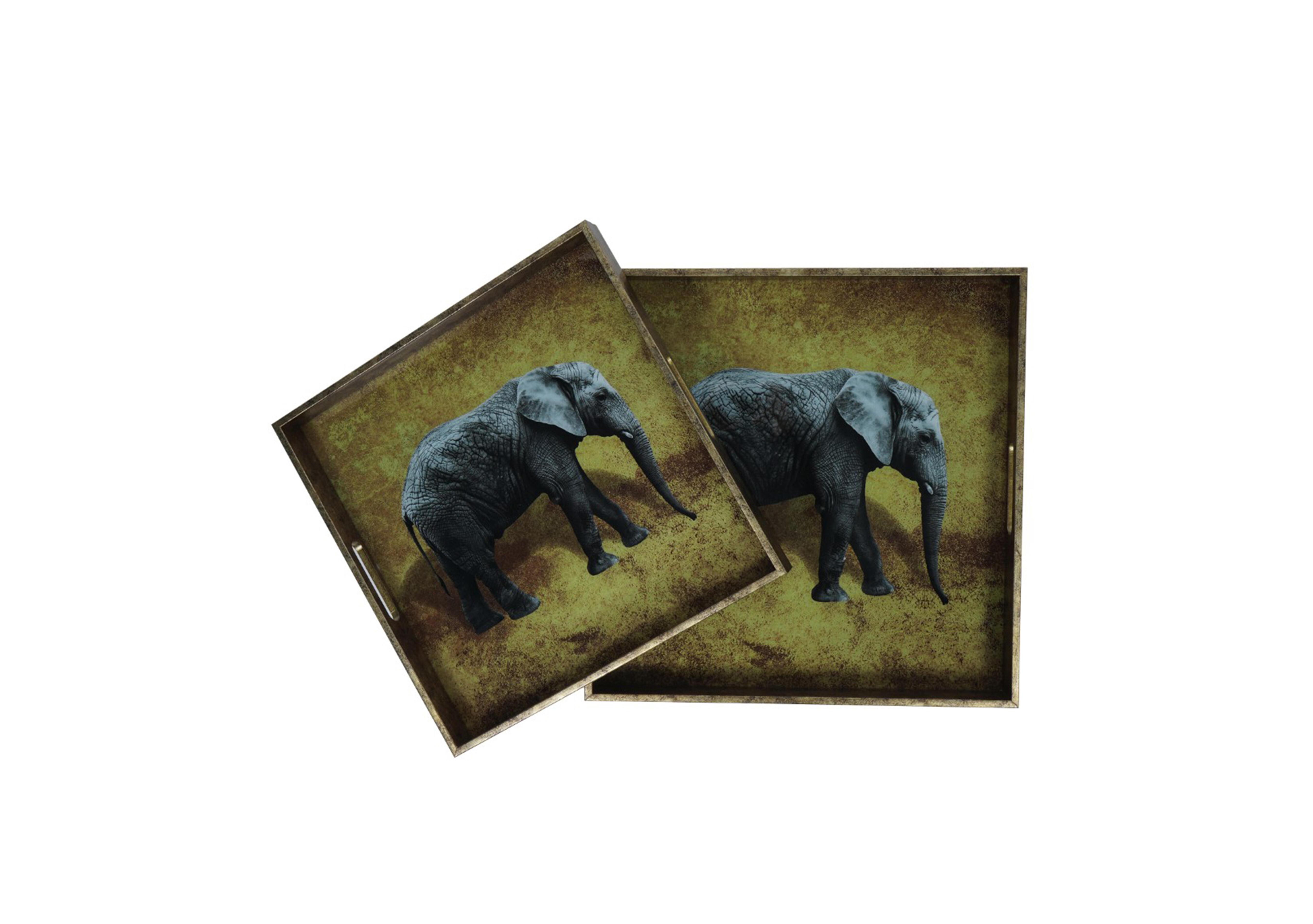 Elephant Decorative Set of 2 Nesting Trays in  on Furniture Village