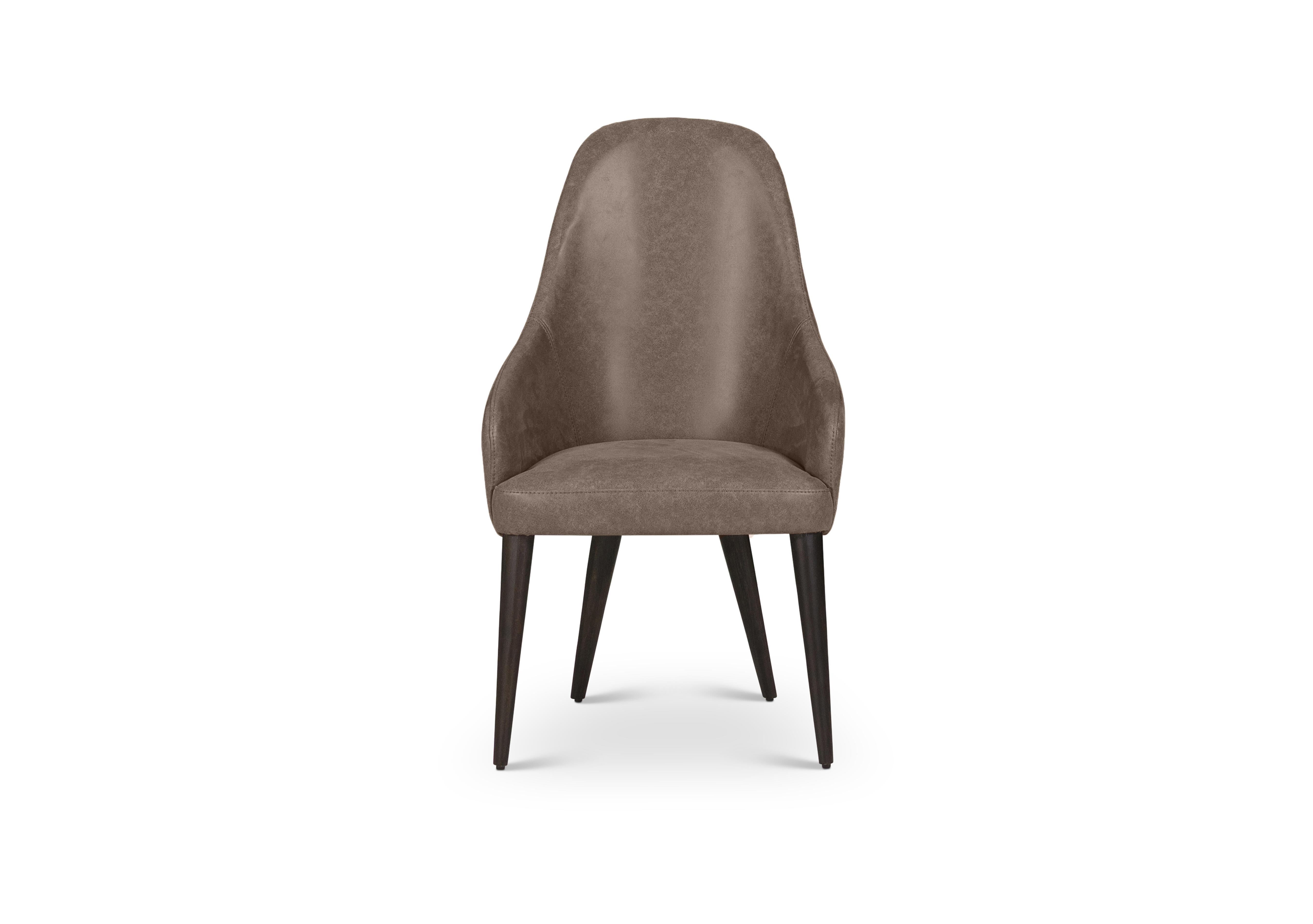 Equinox Dining Arm Chair in  on Furniture Village