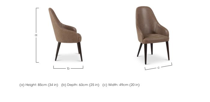 Equinox Dining Arm Chair in  on Furniture Village