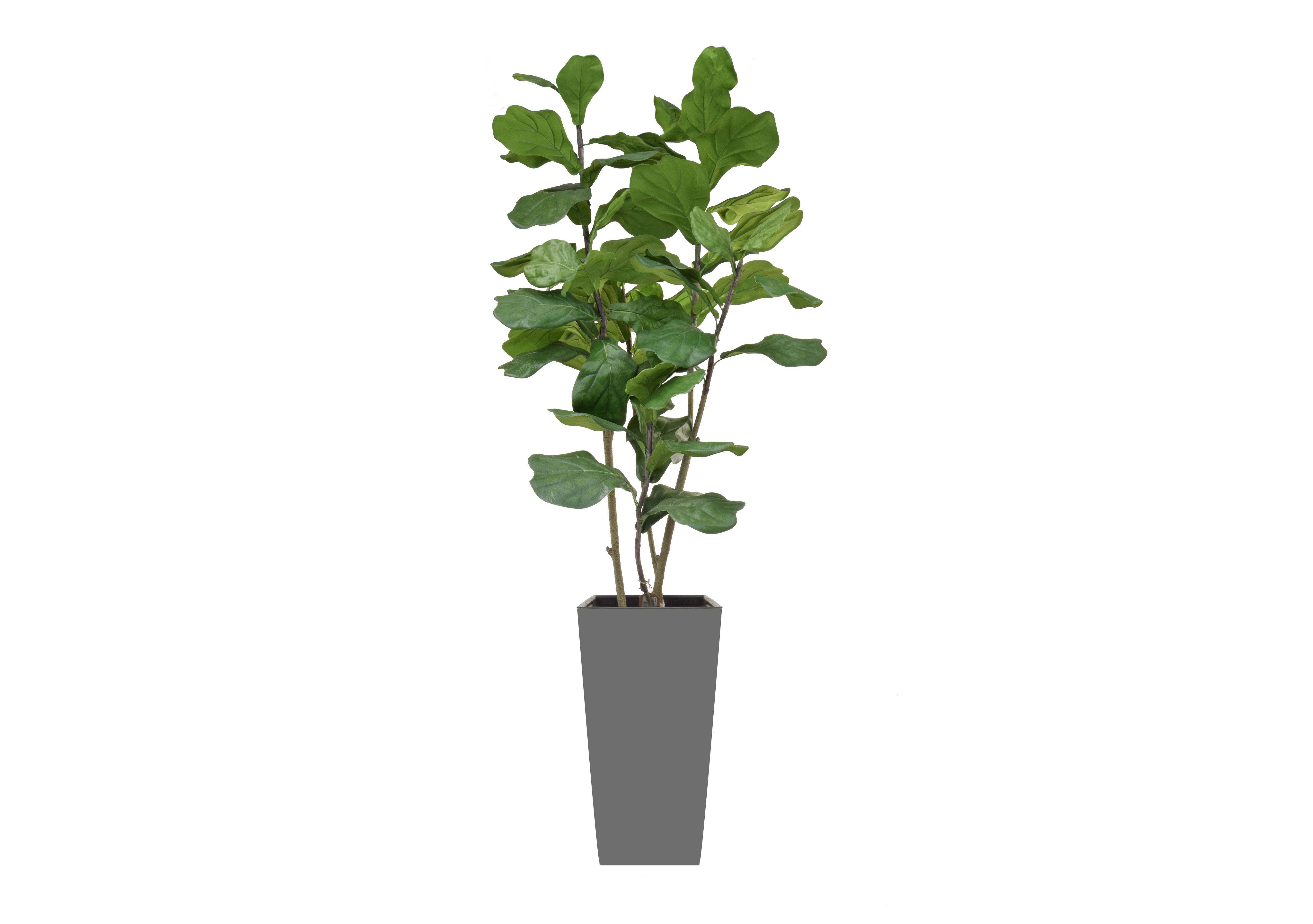Fiddle Tree Large Grey Pot in  on Furniture Village