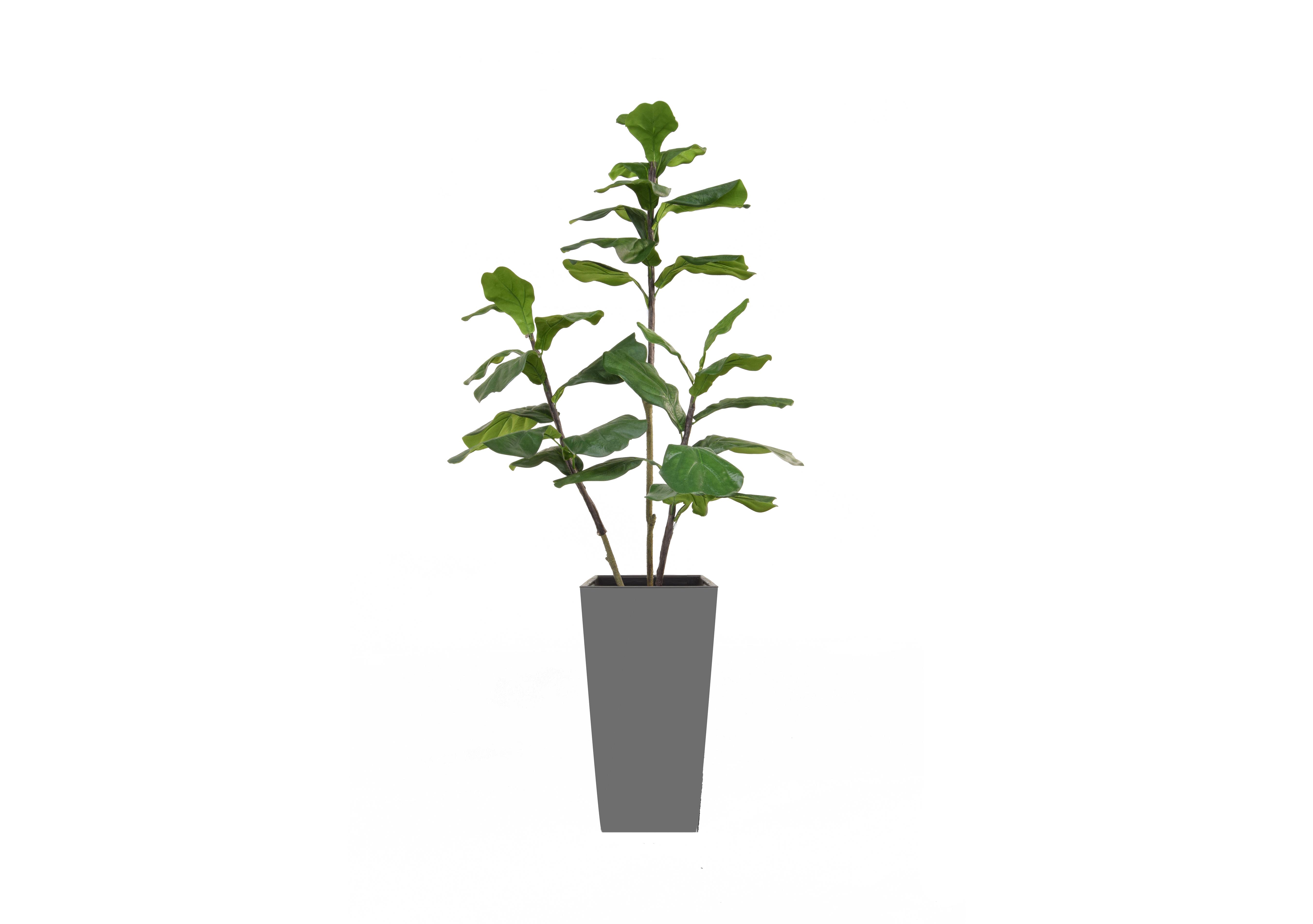 Fiddle Tree Small Grey Pot in  on Furniture Village