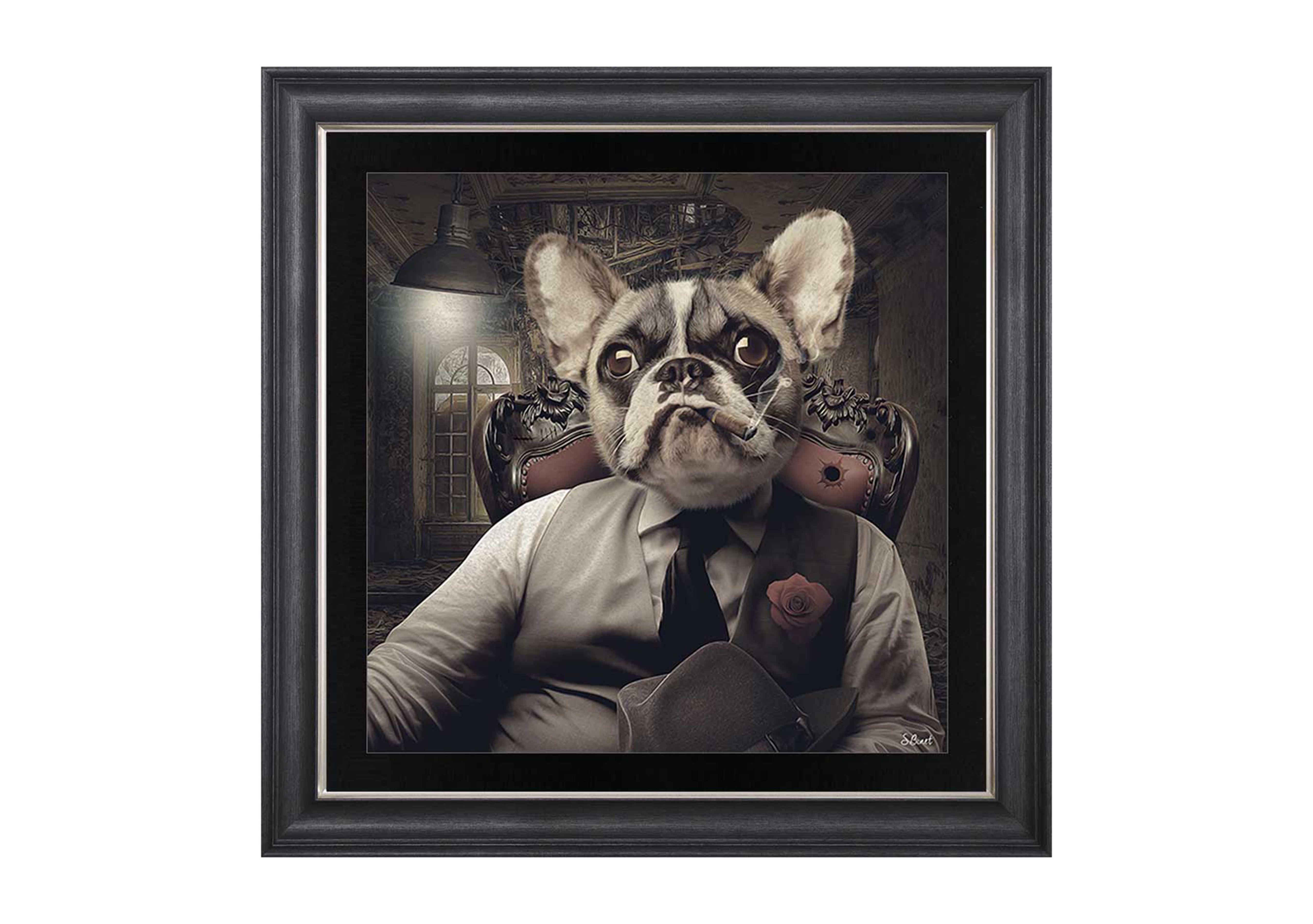 Frenchie Mafia Framed Art in  on Furniture Village