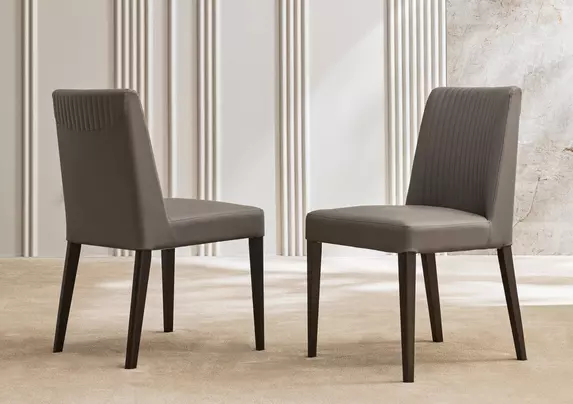 Pair of dining chairs hotsell