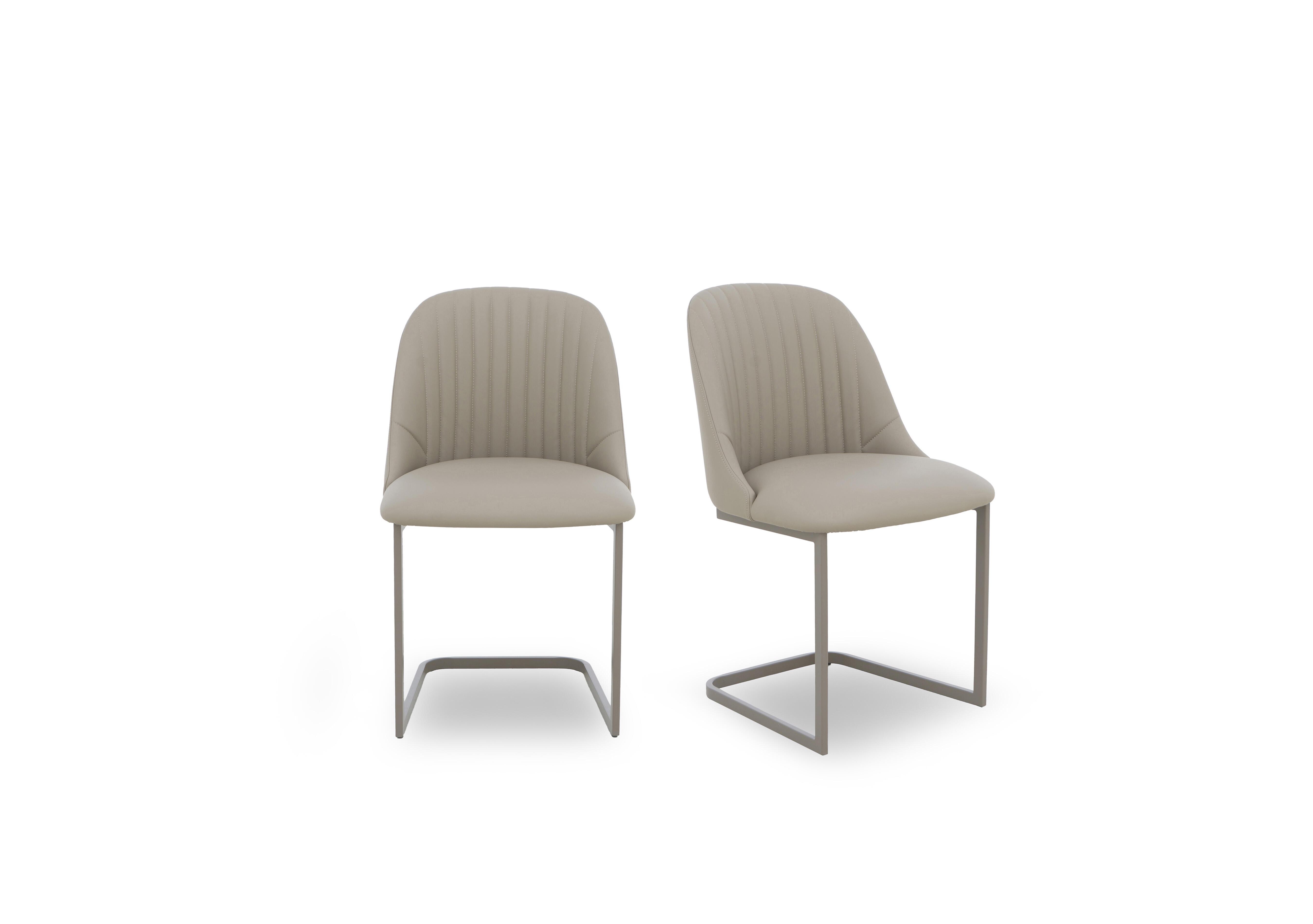 Ivy Pair of Cantilever Dining Chairs in  on Furniture Village