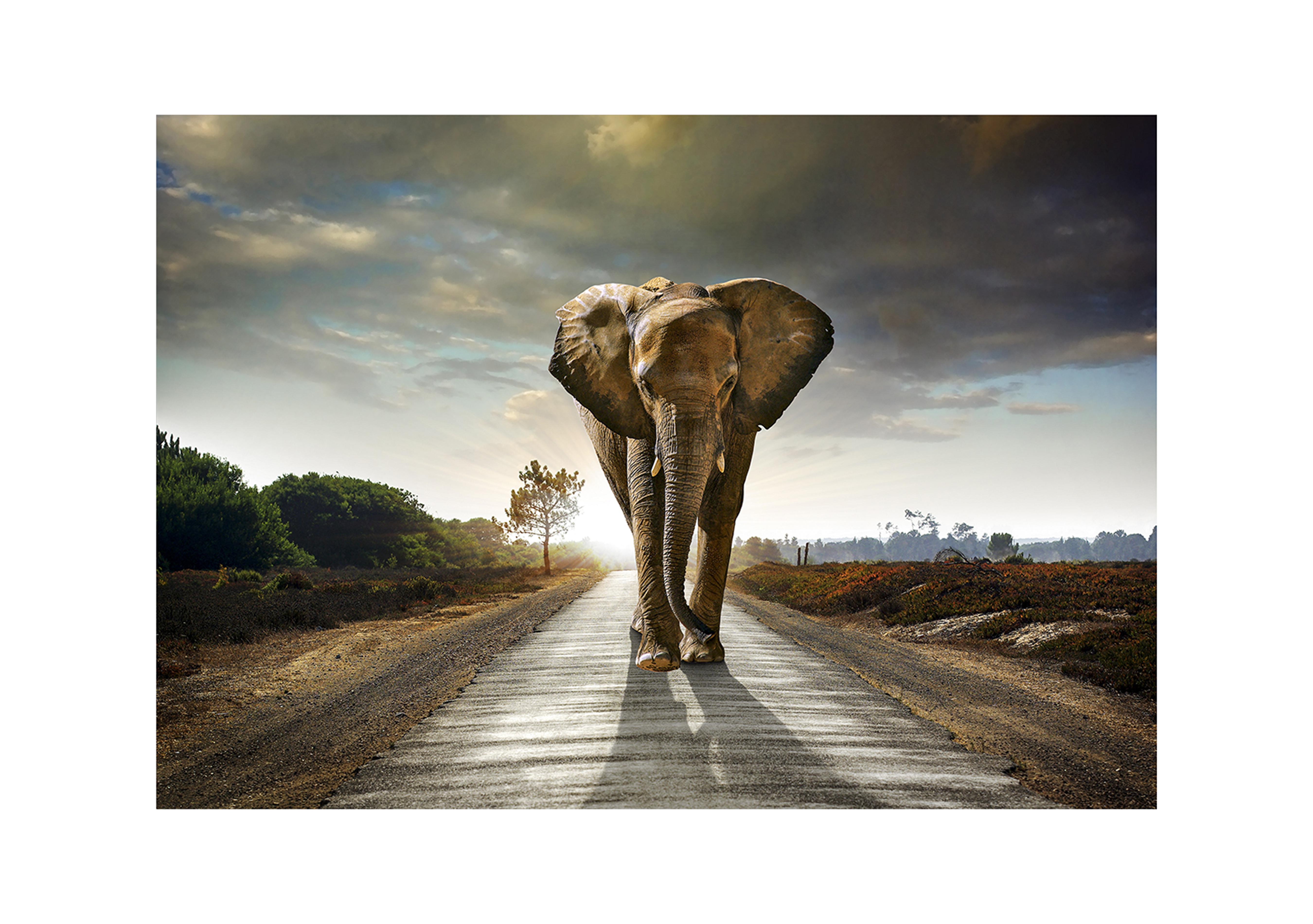 Morning March Large Glass Picture in  on Furniture Village