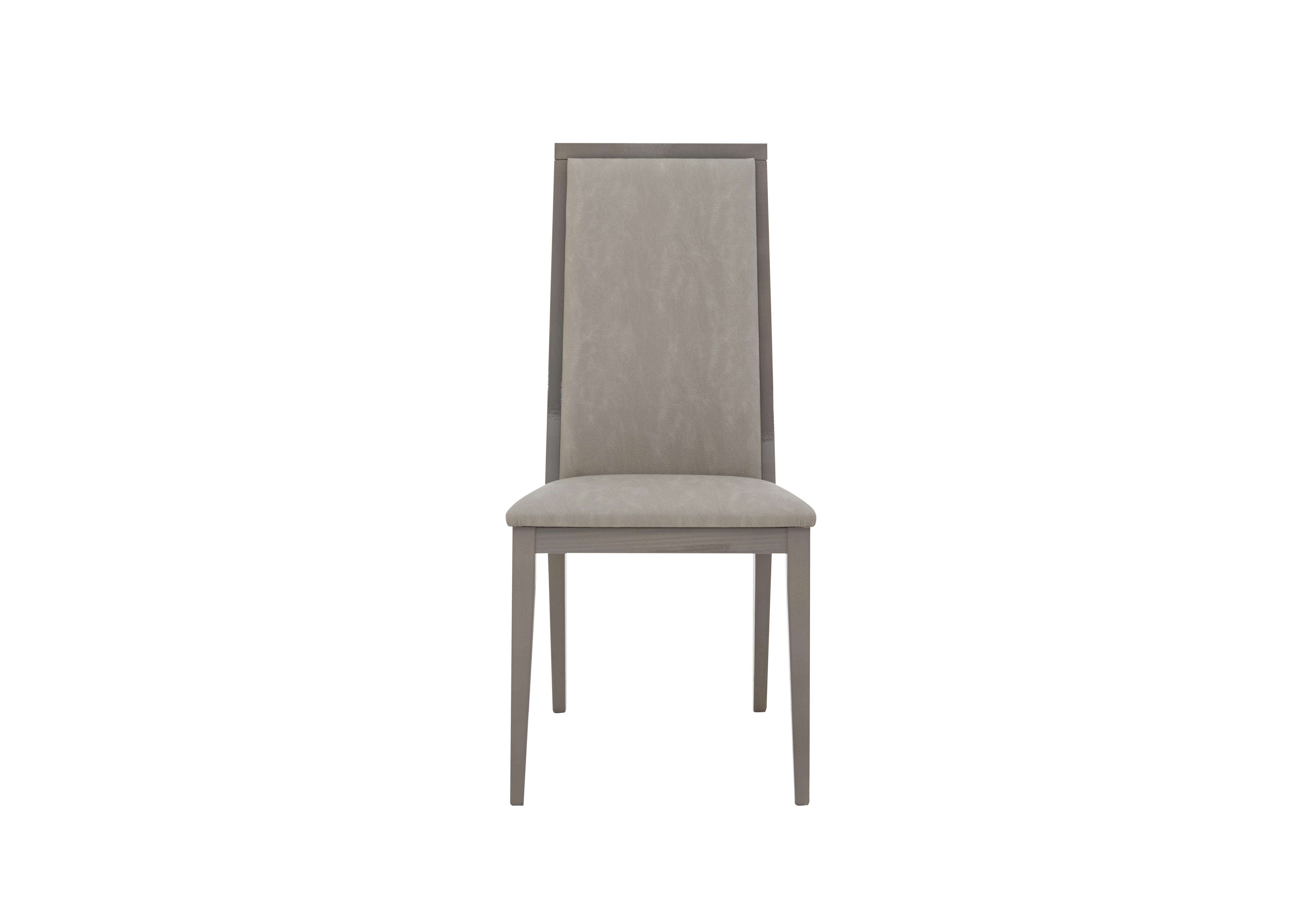 Movado Dining Chair in  on Furniture Village