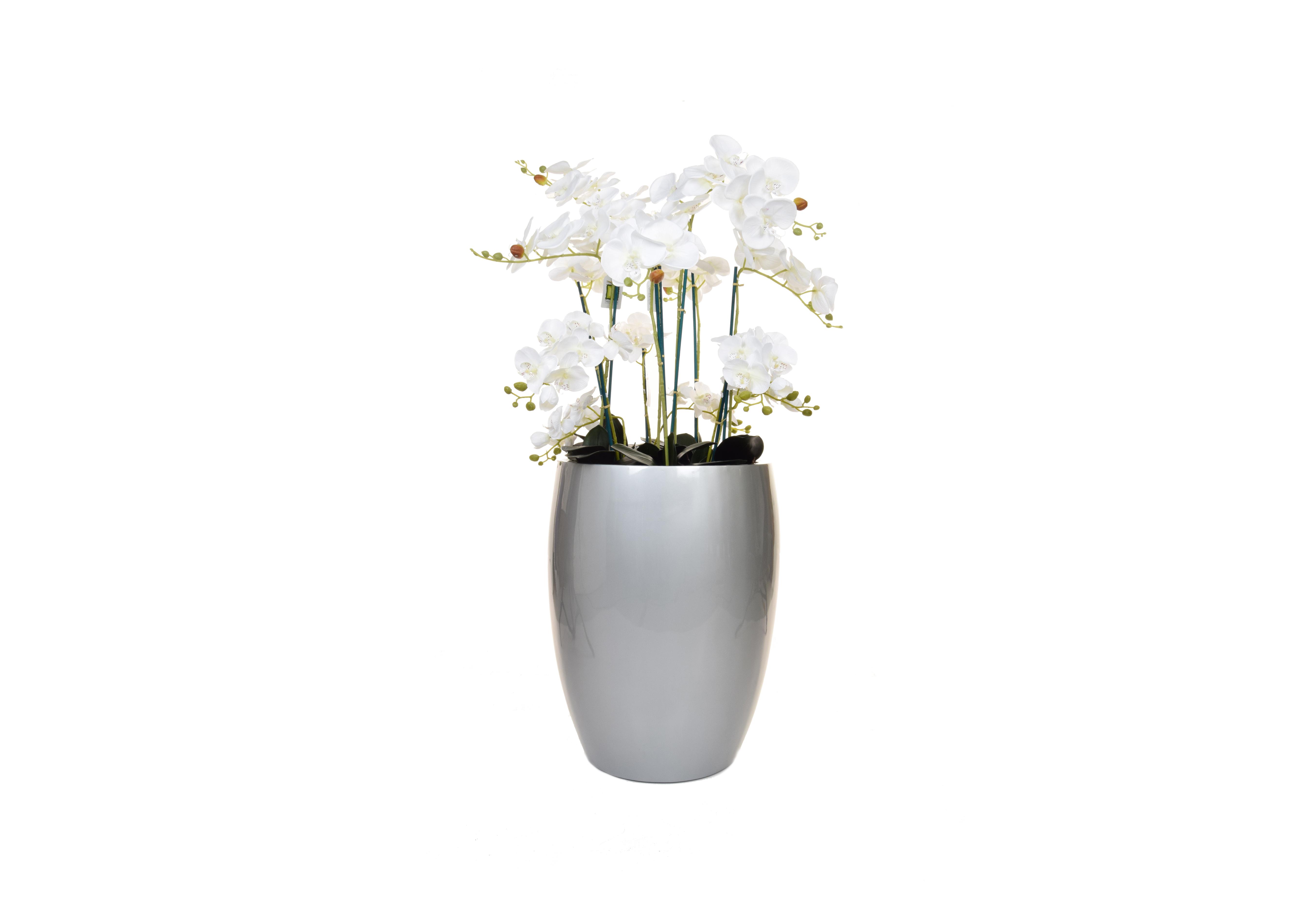 Orchid Silver Pot Large in  on Furniture Village