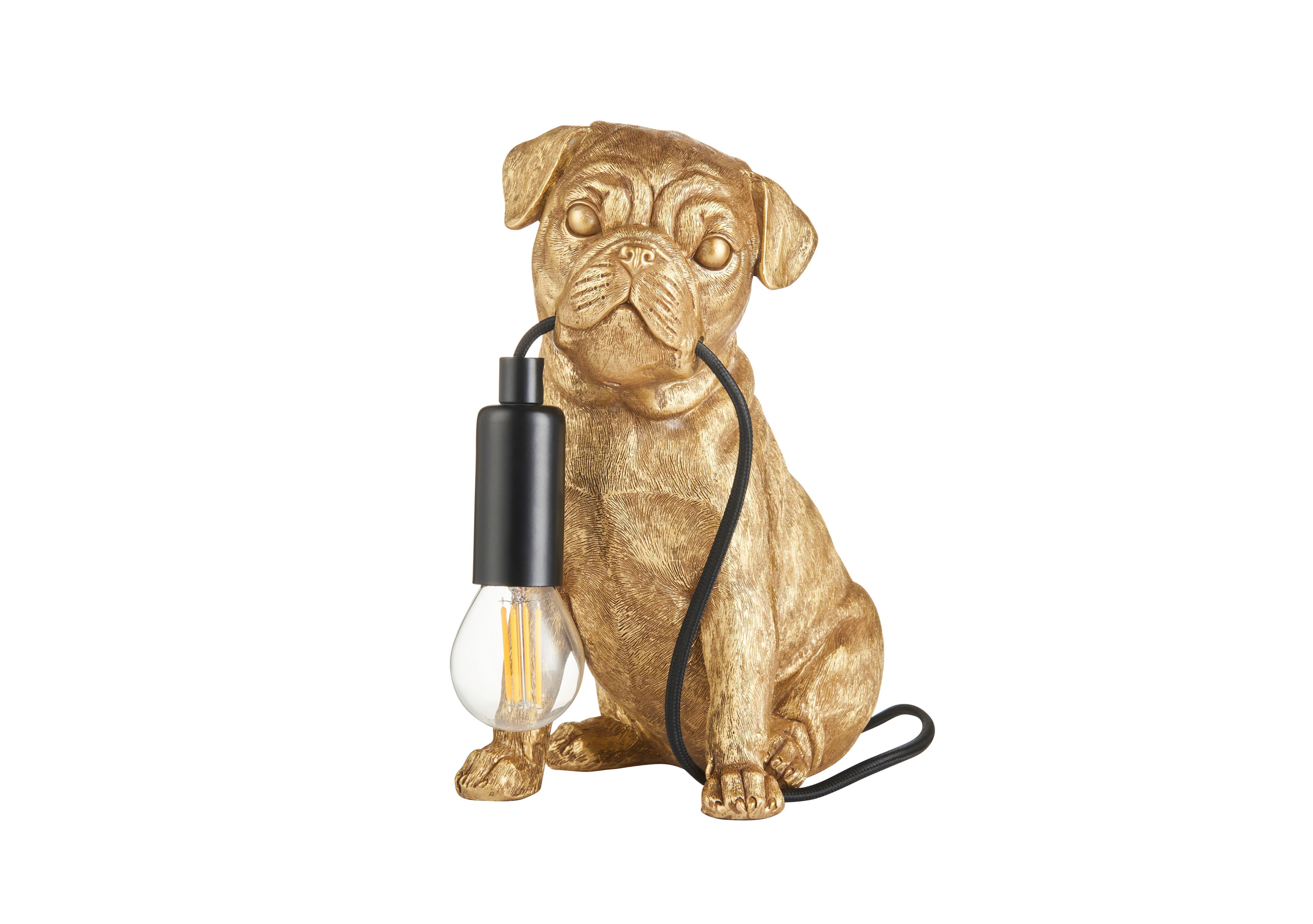 Pug Puppy Table Lamp in  on Furniture Village
