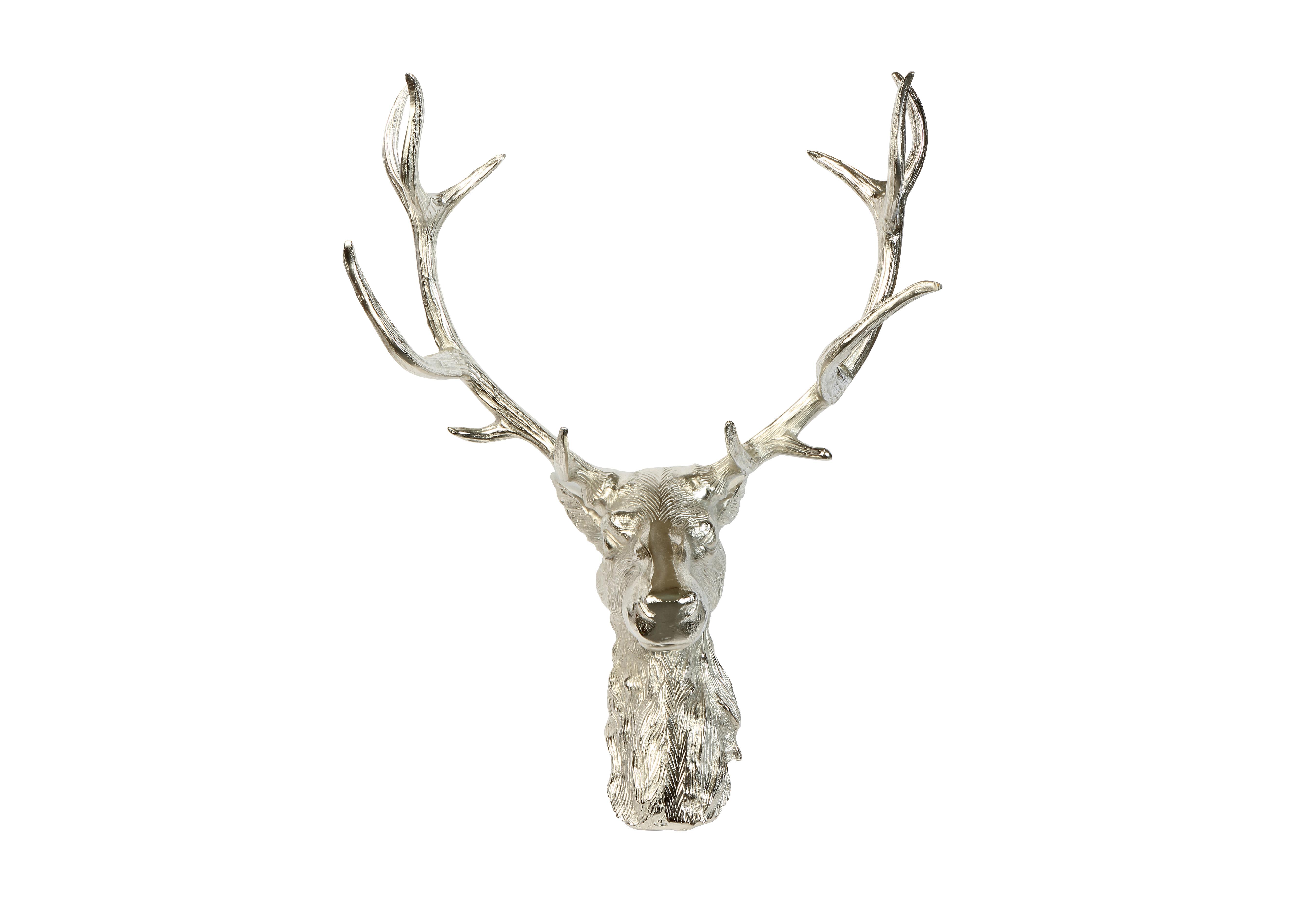 Stag Head Wall Ornament in  on Furniture Village
