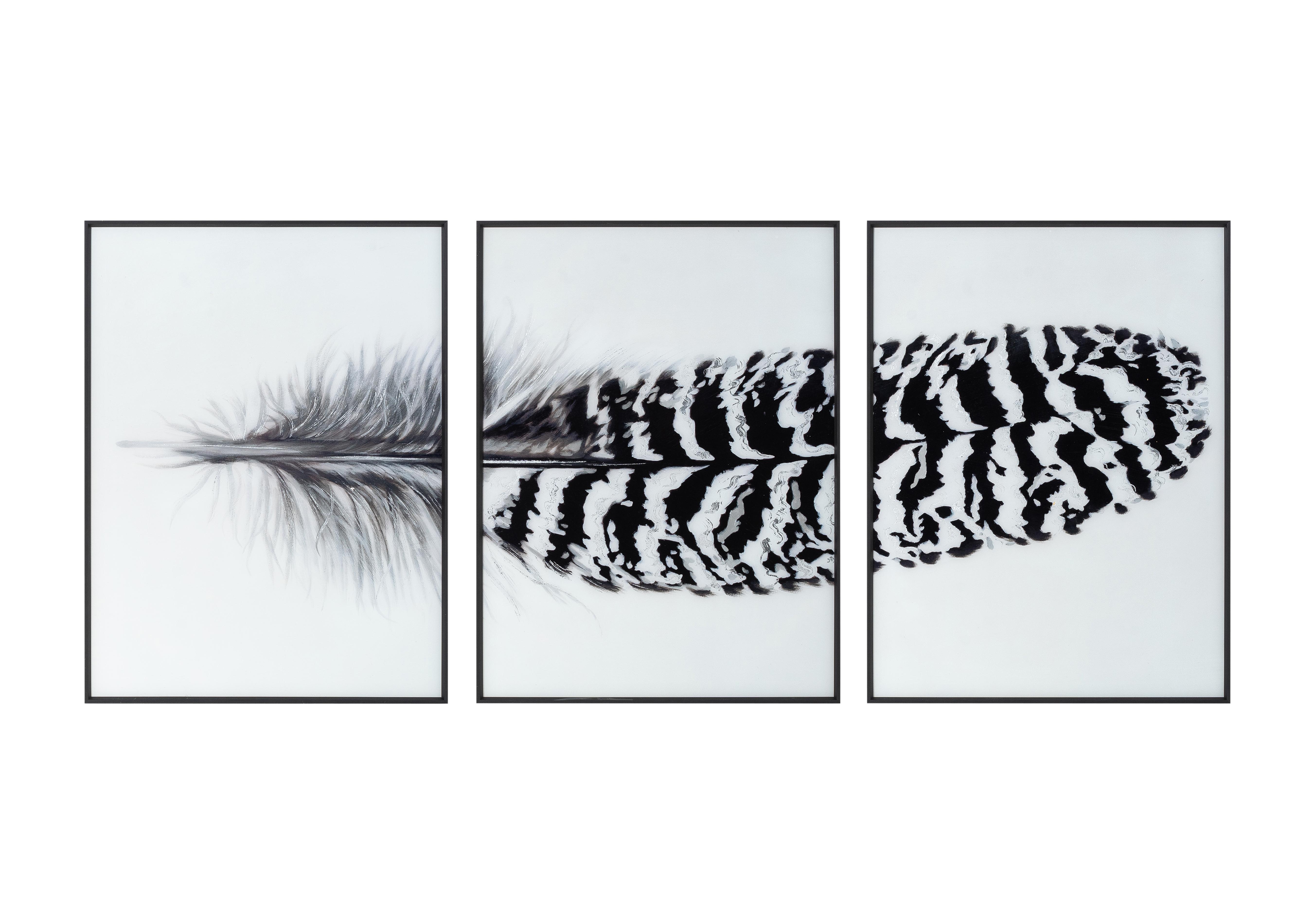 Striped Feather Glass Picture Set of 3 in  on Furniture Village