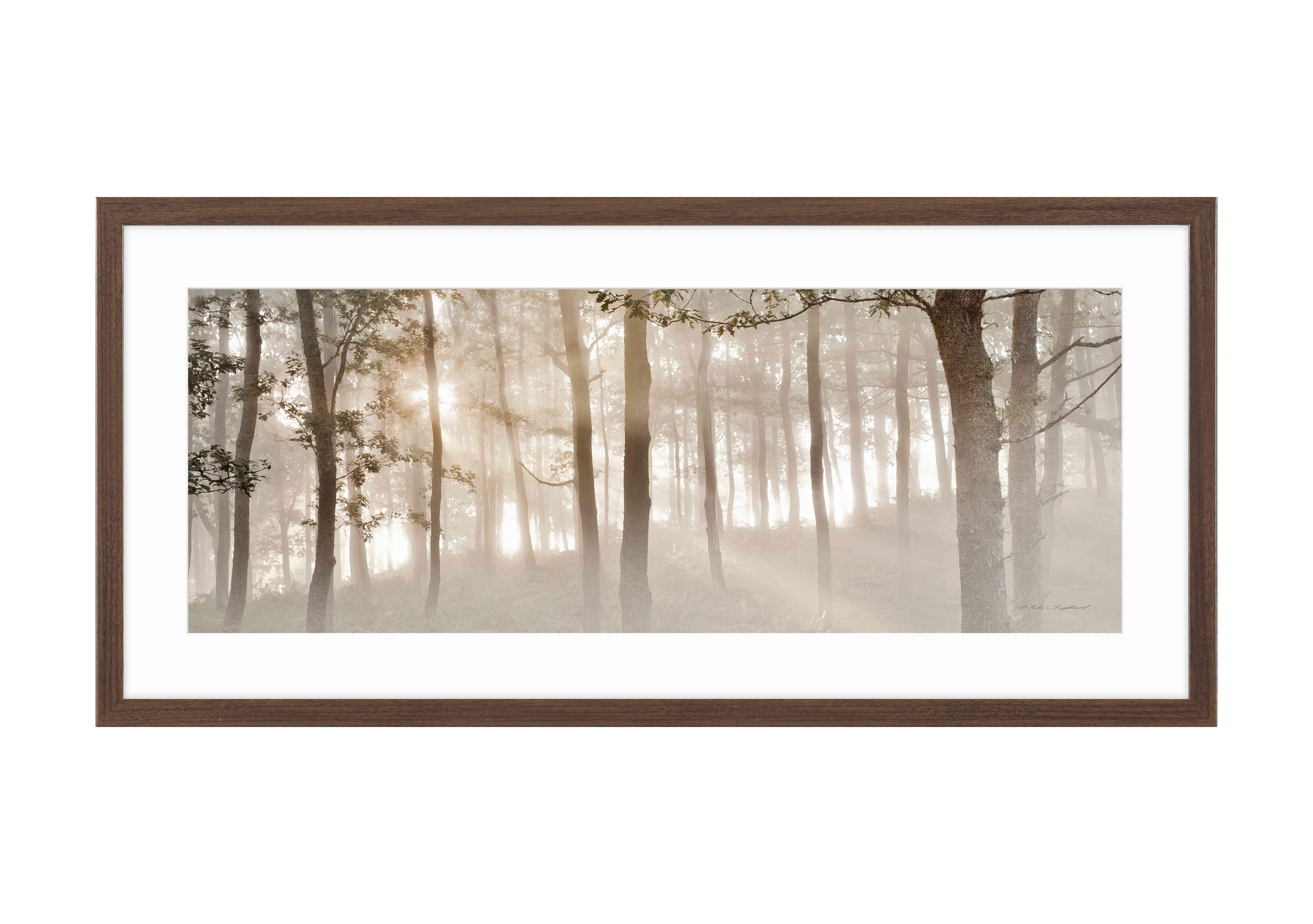 Sunburst Woodland Framed Picture in  on Furniture Village