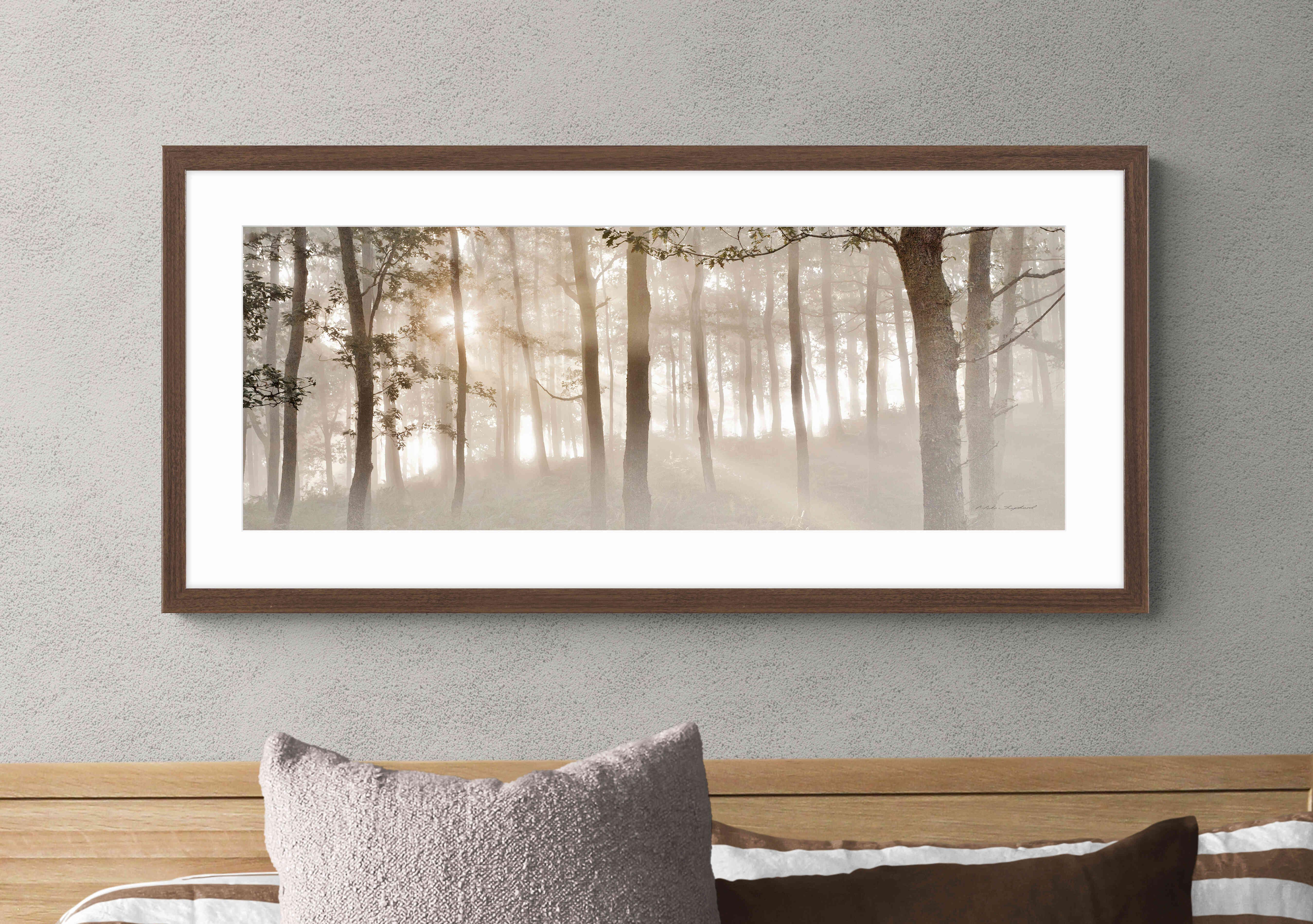 Sunburst Woodland Framed Picture in  on Furniture Village