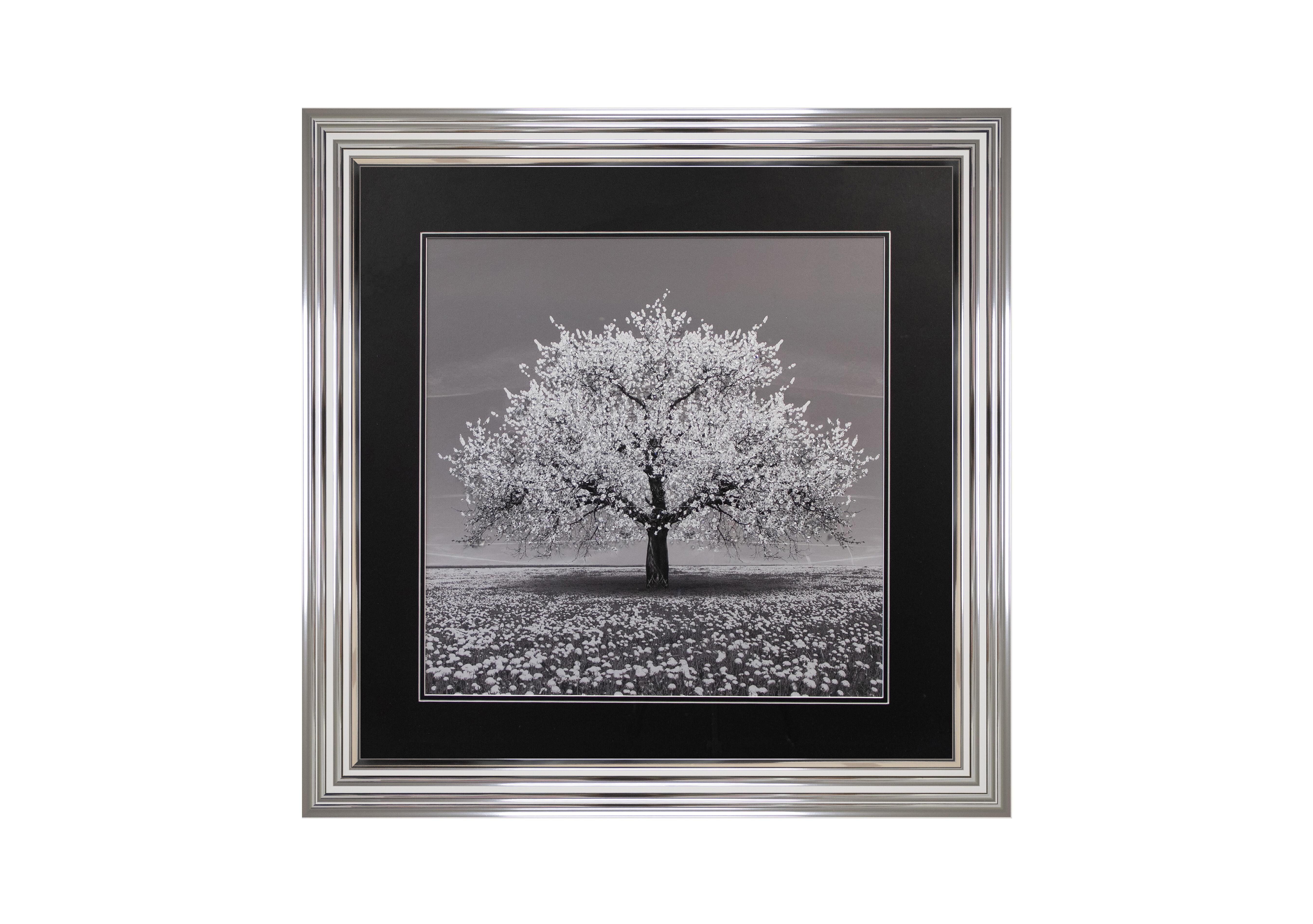 White Cherry Tree Framed Art in  on Furniture Village