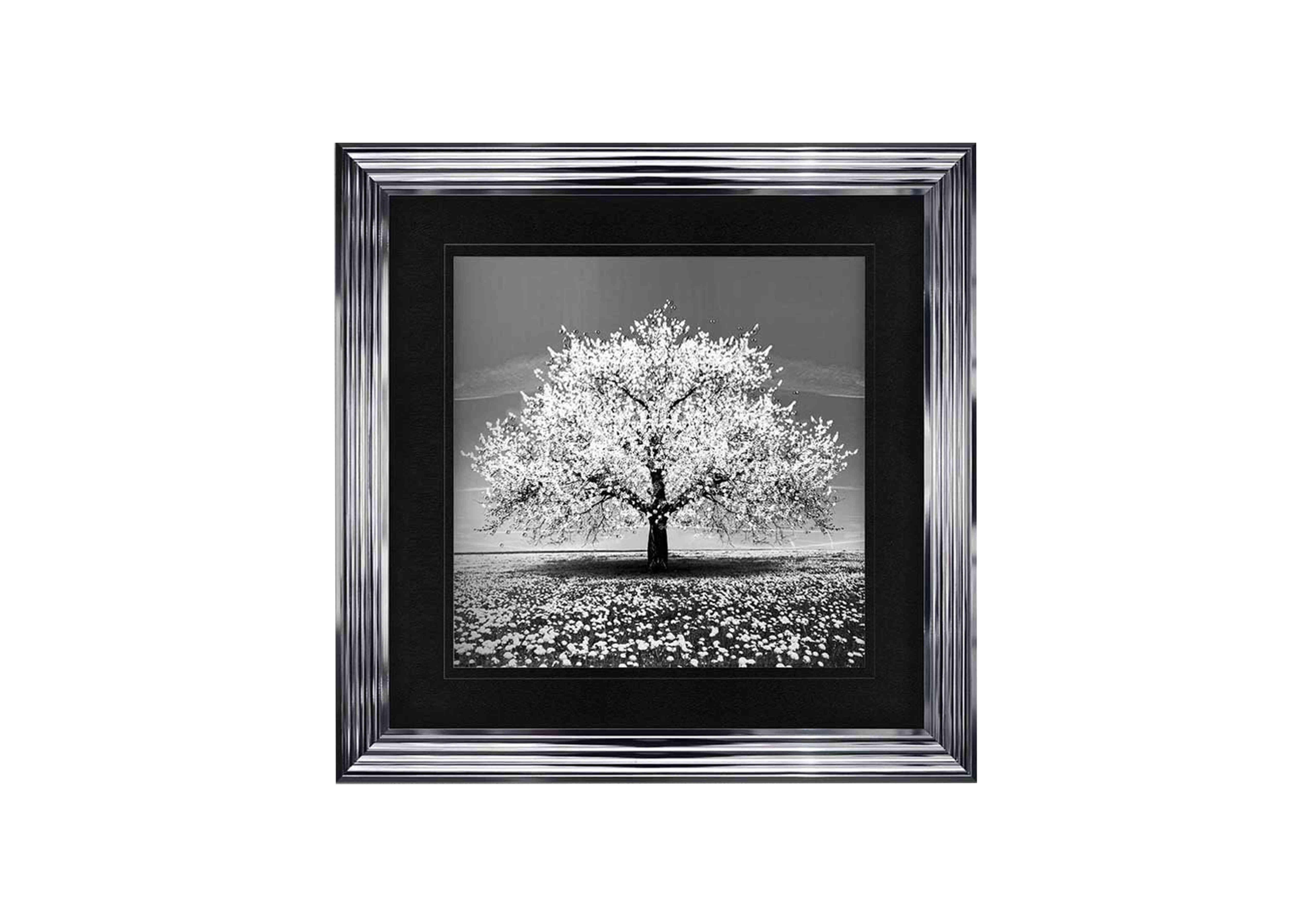 White Cherry Tree Framed Art in  on Furniture Village