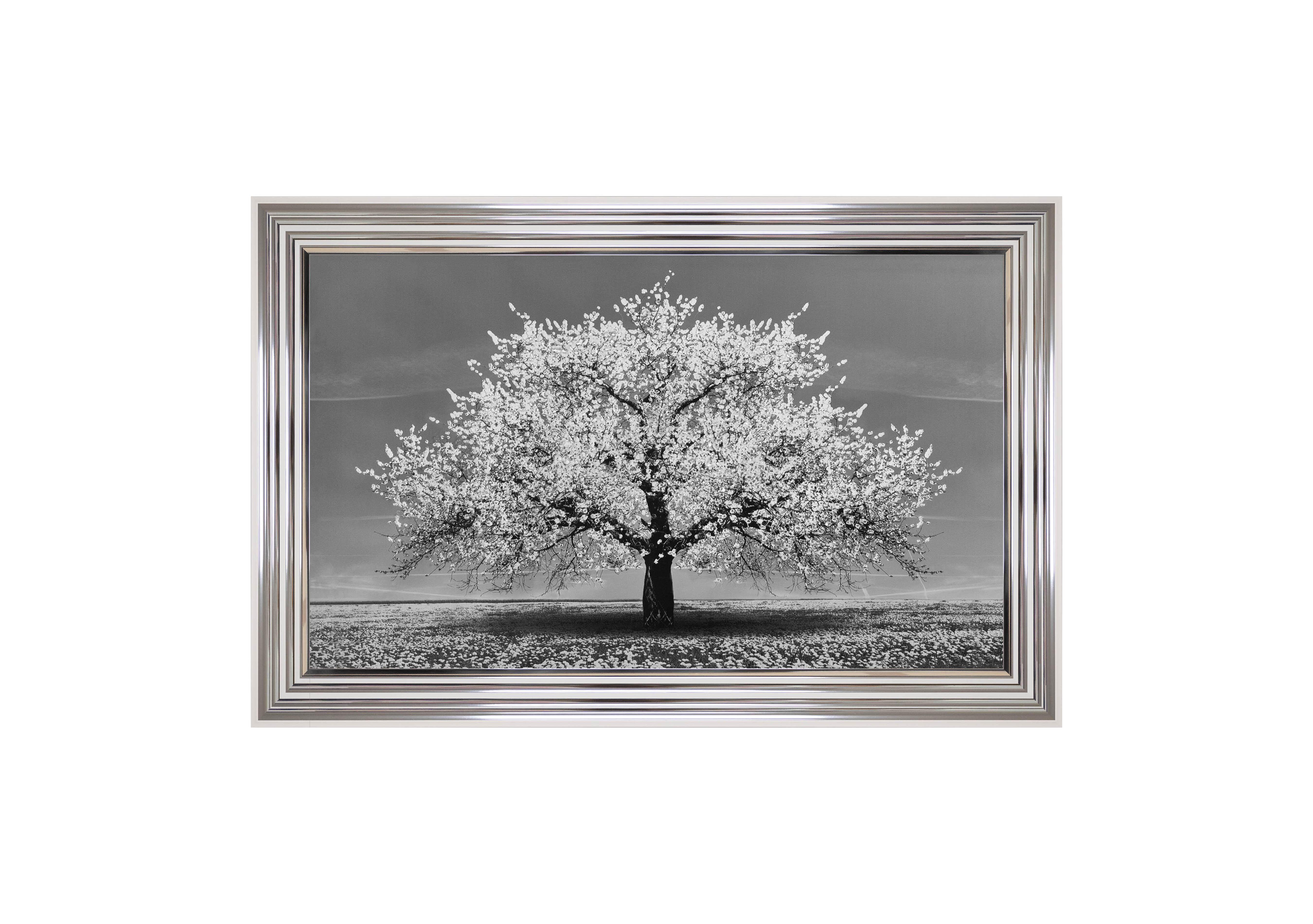 White Cherry Tree Framed Art in  on Furniture Village