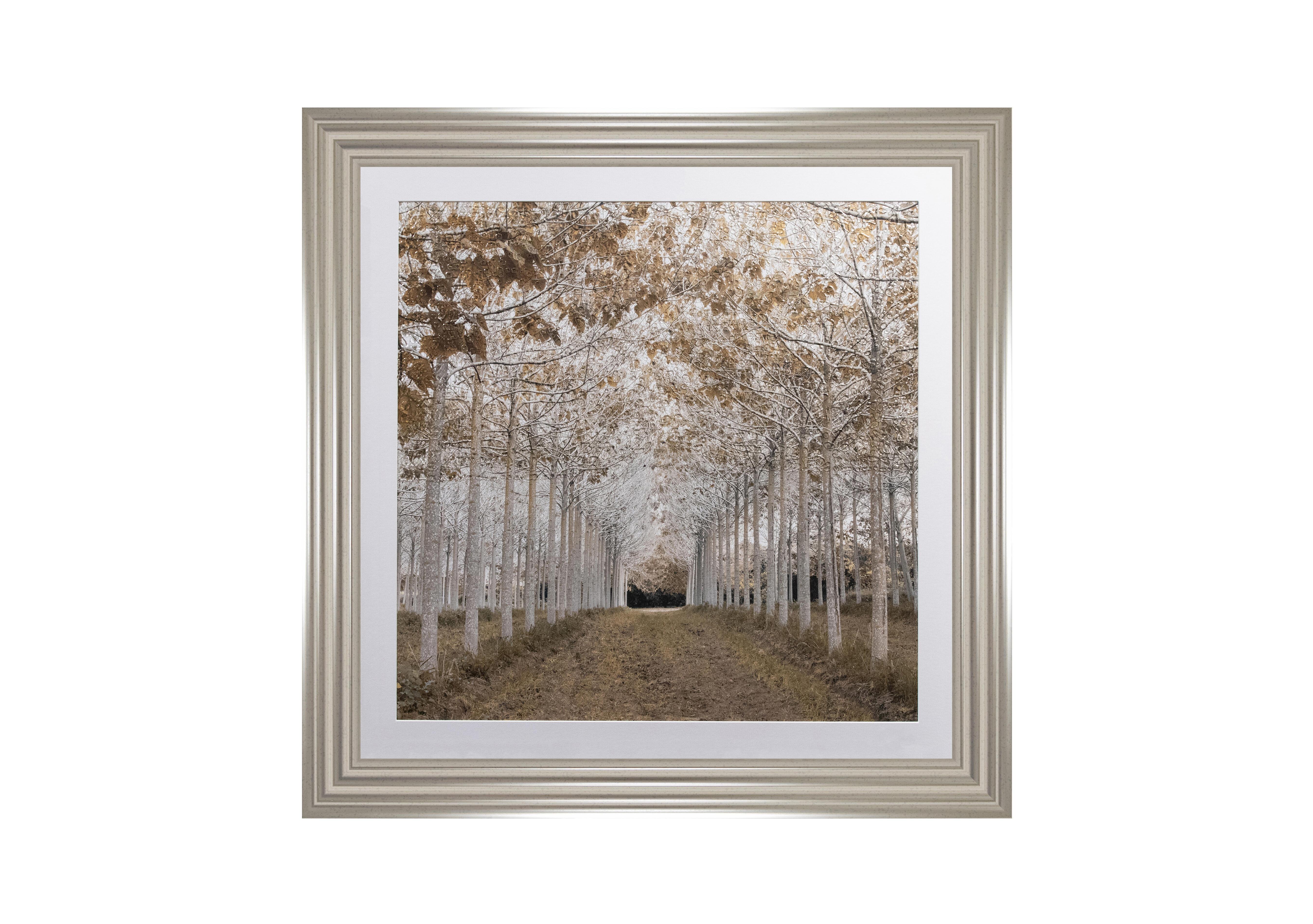 Gold Winter Walk Framed Art in  on Furniture Village