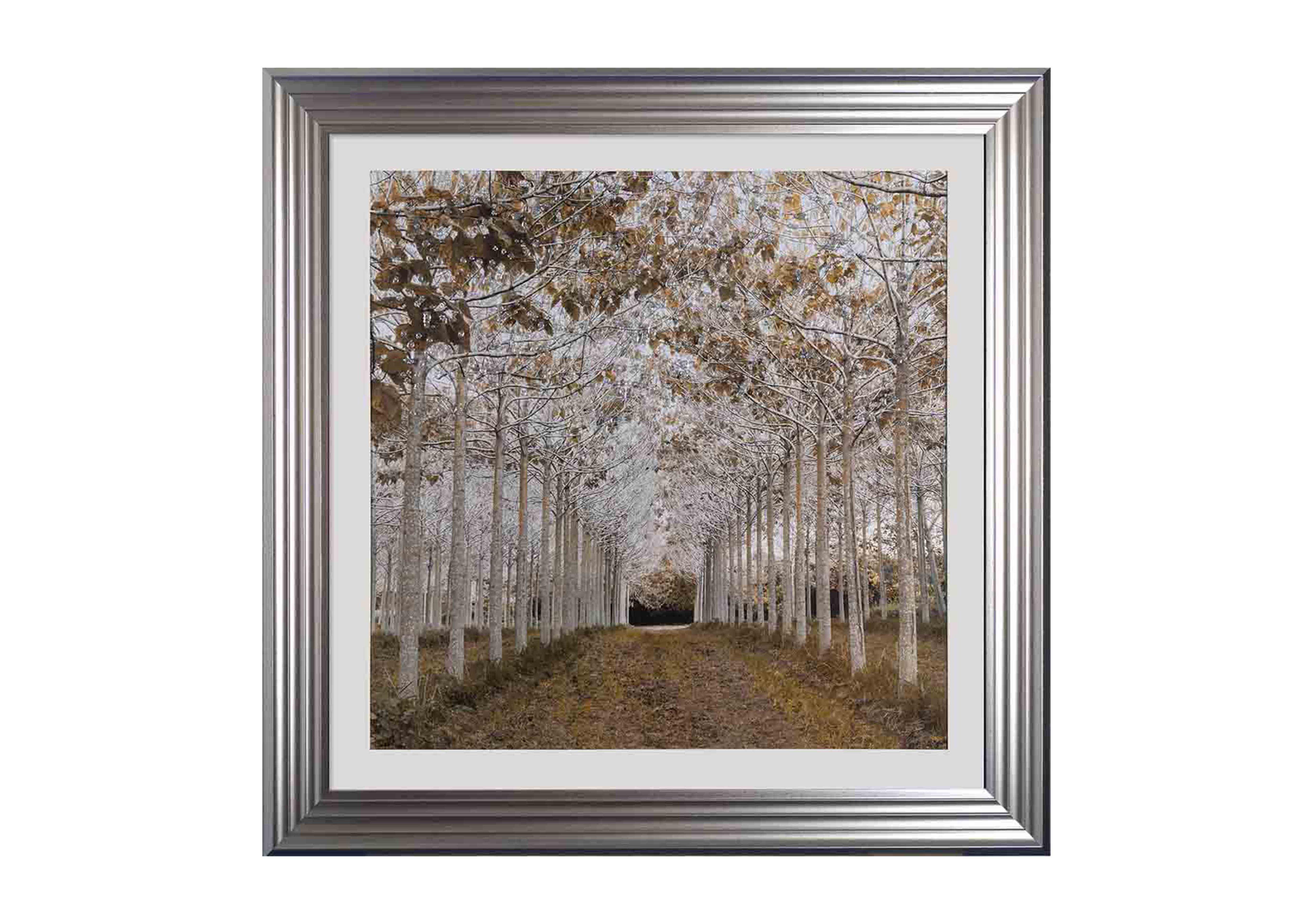 Gold Winter Walk Framed Art in  on Furniture Village