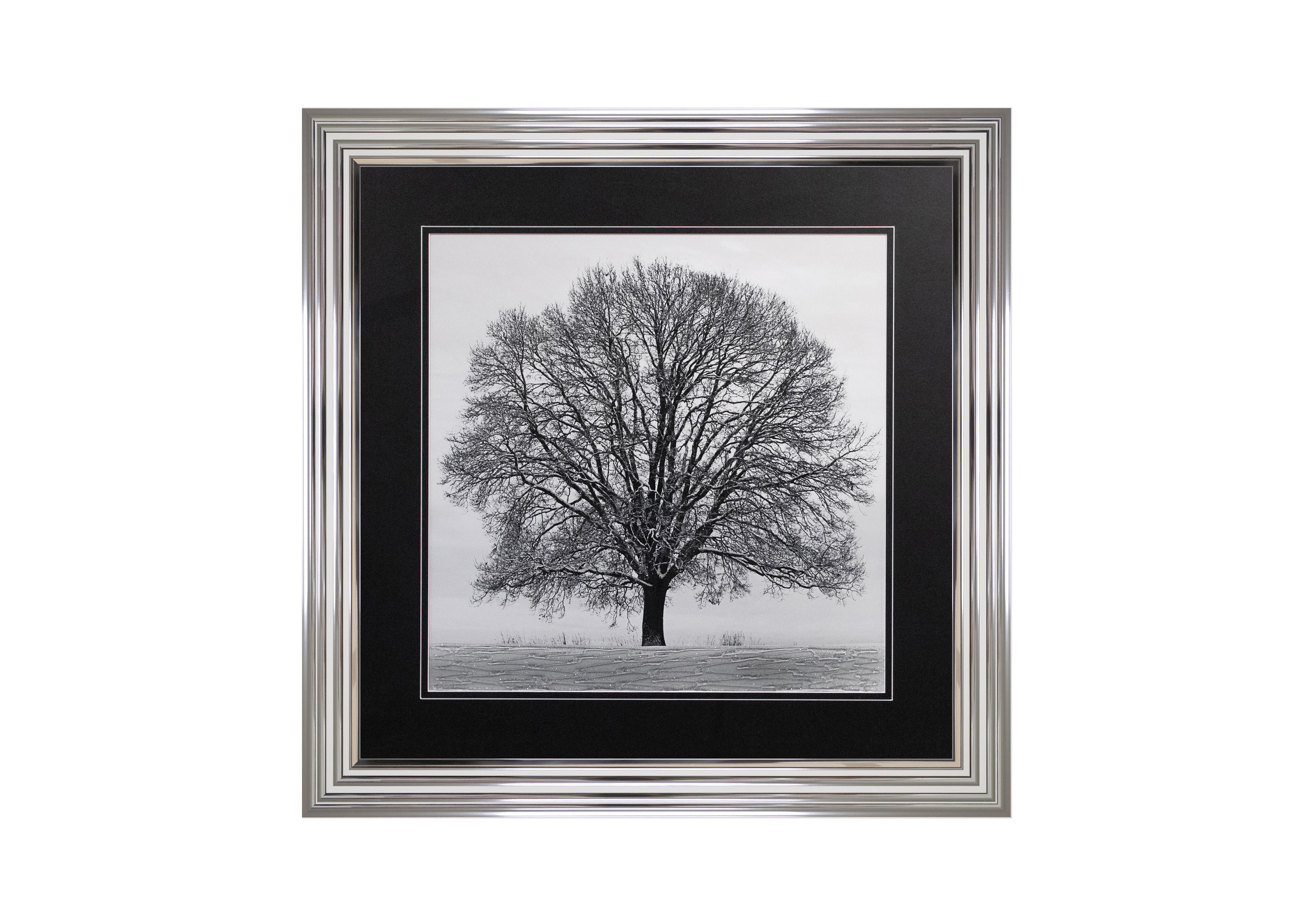 Winter Tree 90x90 Framed Art in  on Furniture Village