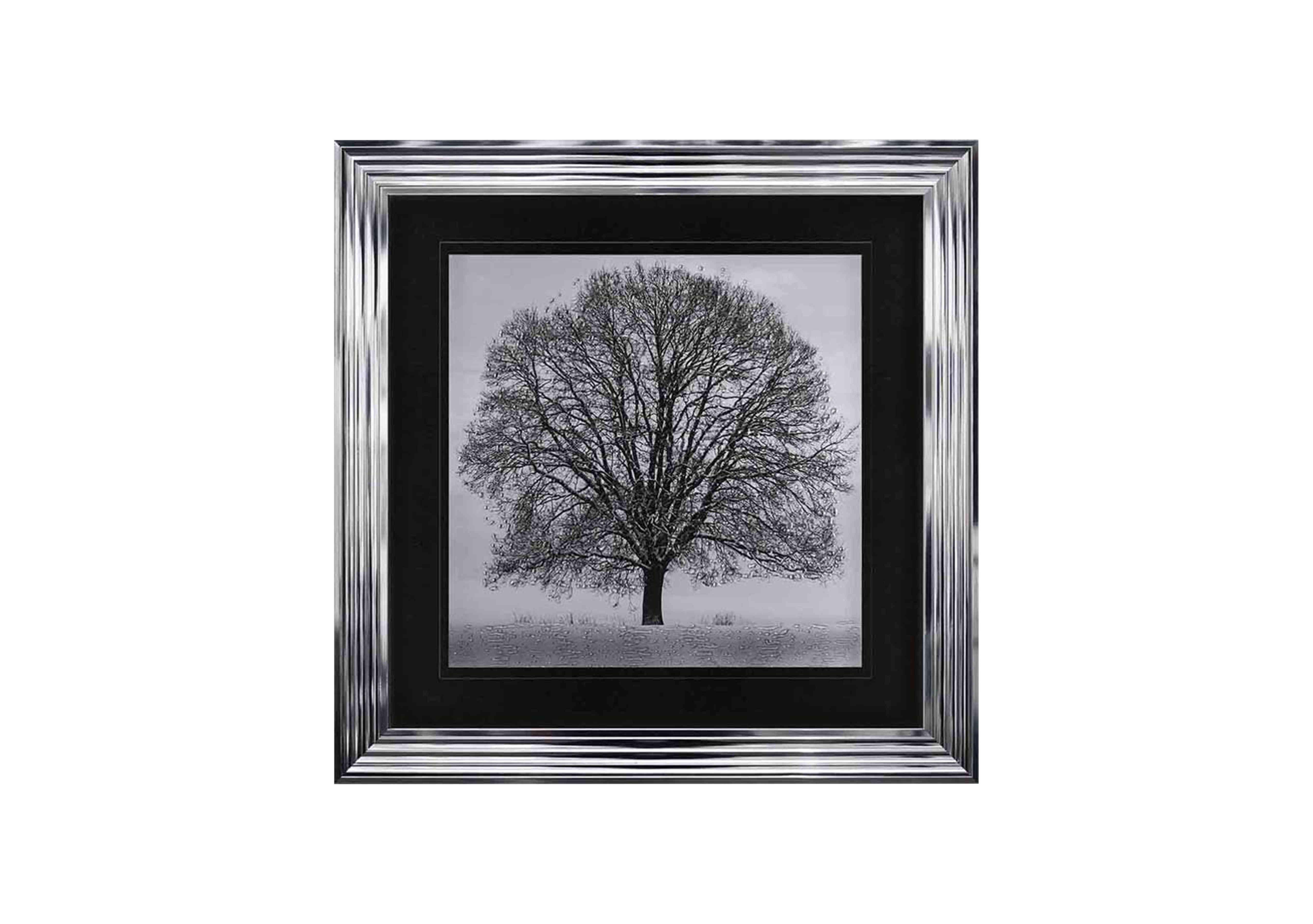 Winter Tree 90x90 Framed Art in  on Furniture Village