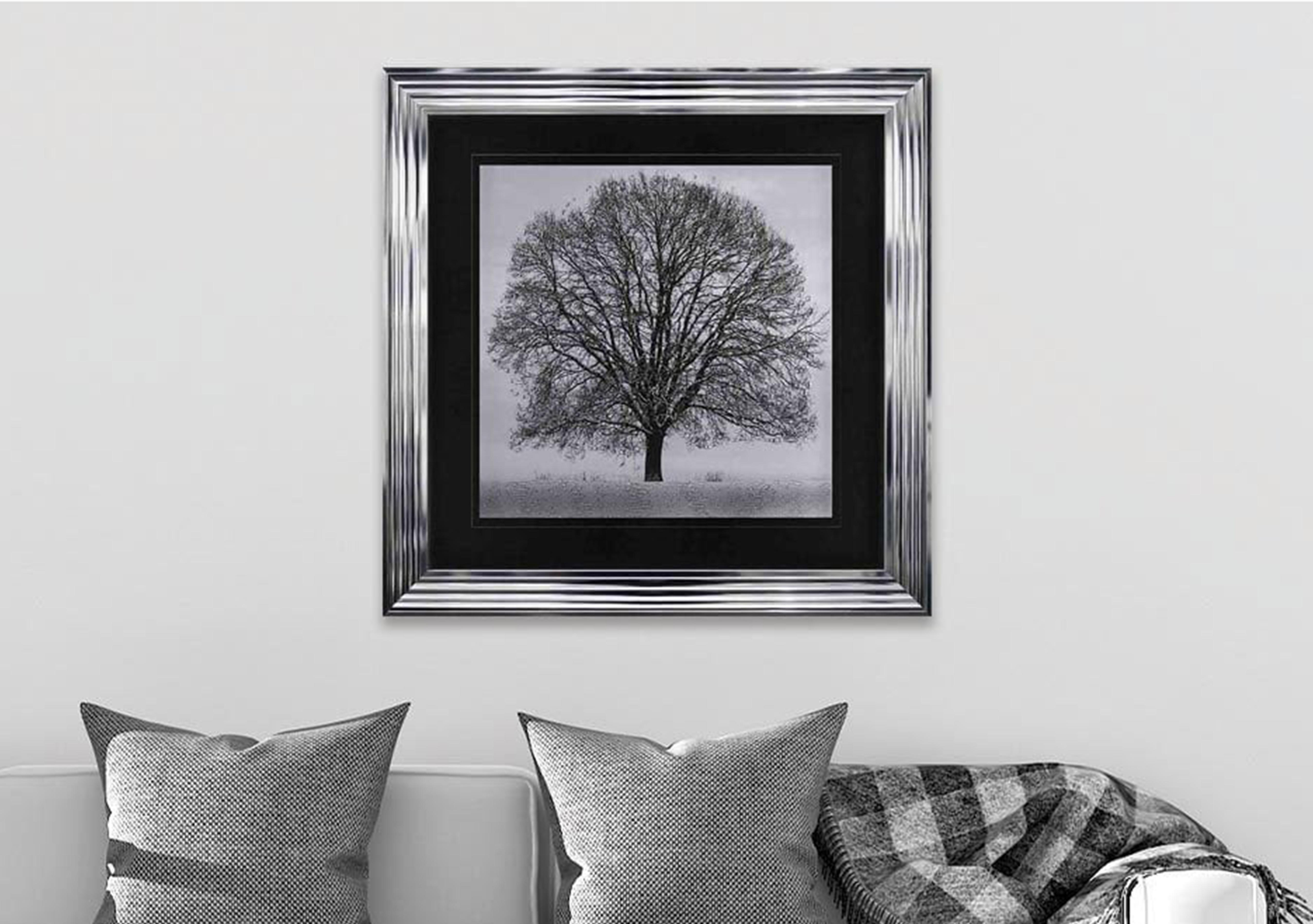 Winter Tree 90x90 Framed Art in  on Furniture Village