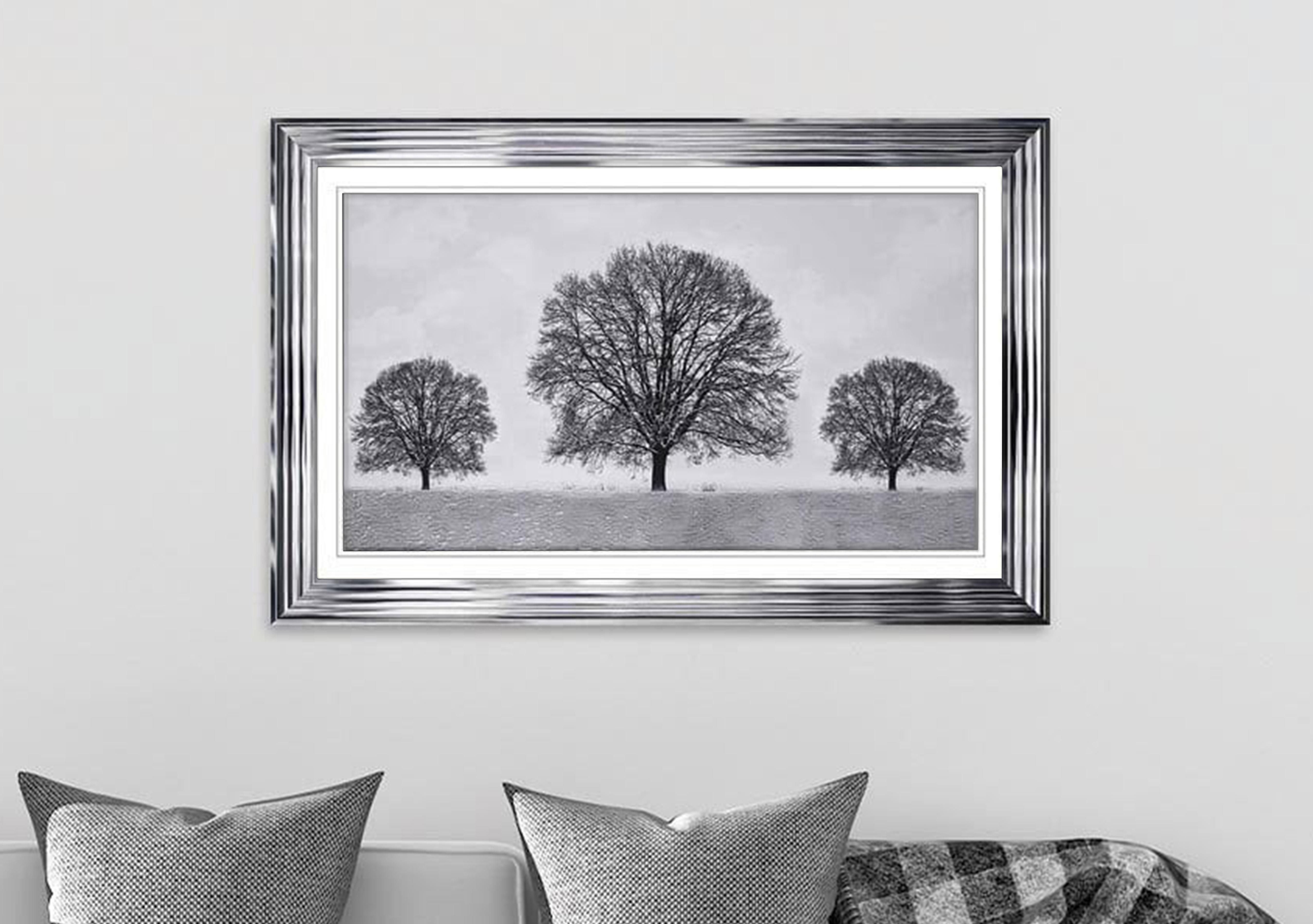 Winter Tree Framed Art in  on Furniture Village
