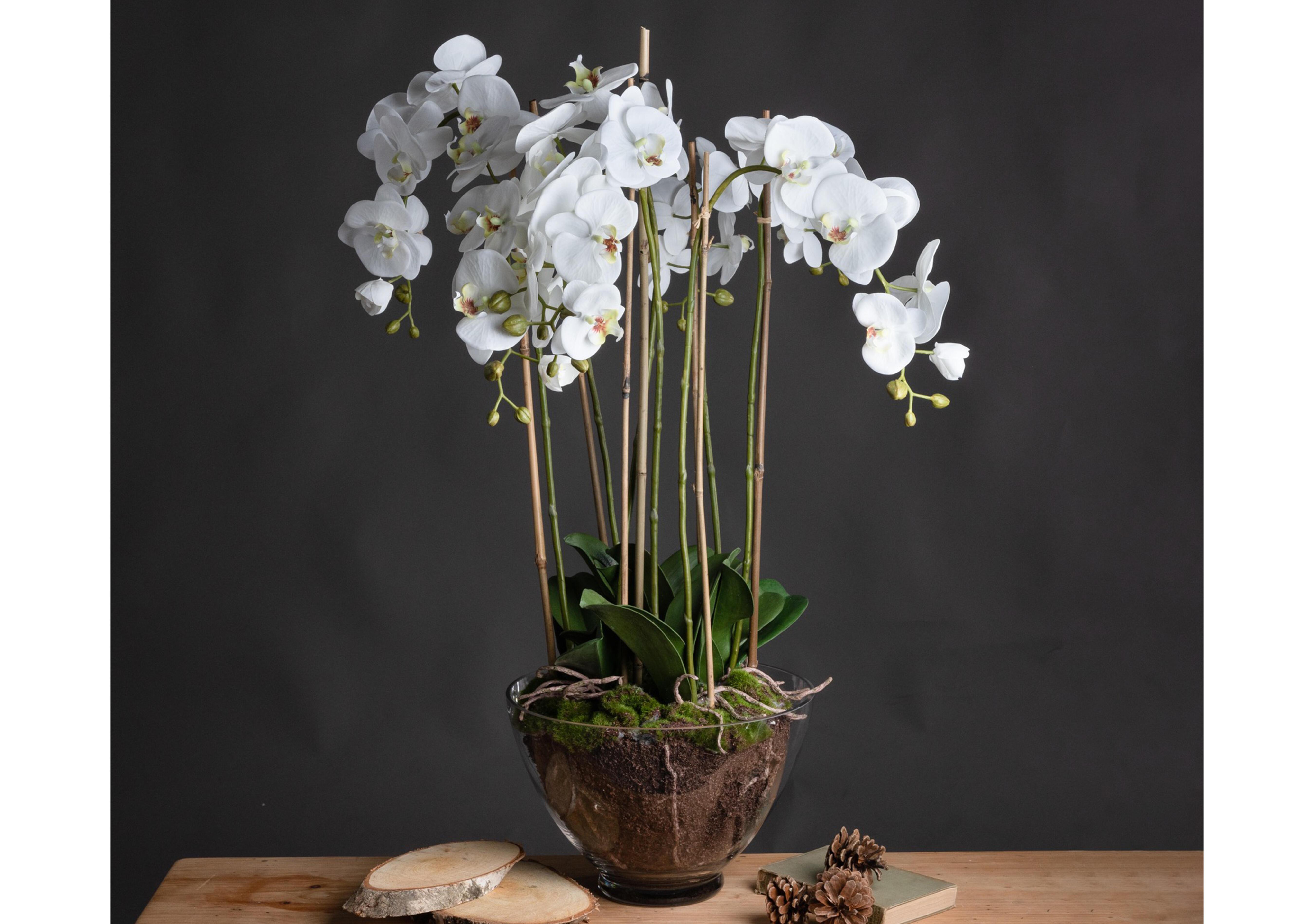 Large White Orchid Glass Pot in  on Furniture Village