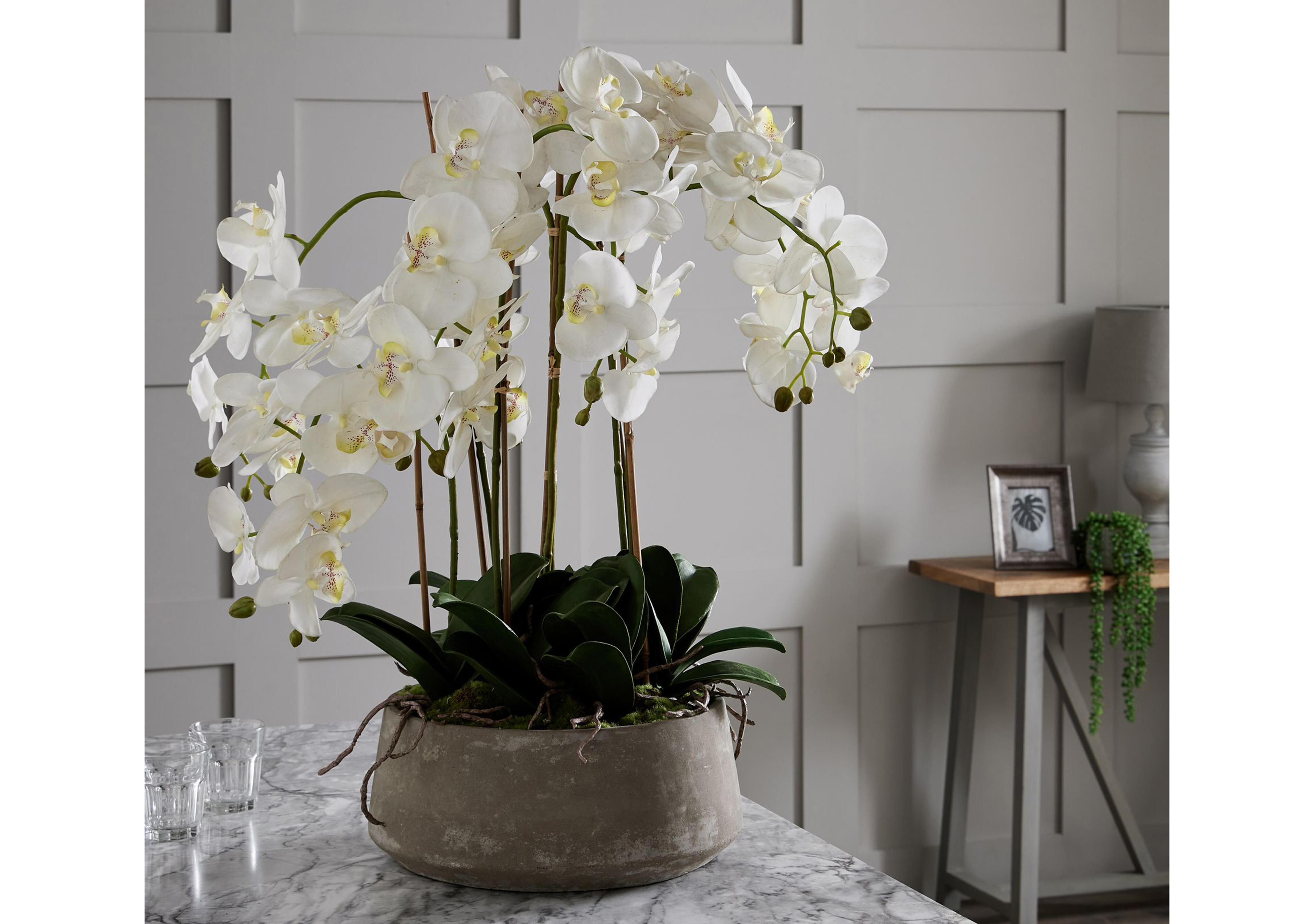 Large White Orchid Stone Pot in  on Furniture Village