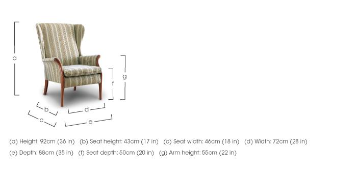 Froxfield wing chair in  on Furniture Village