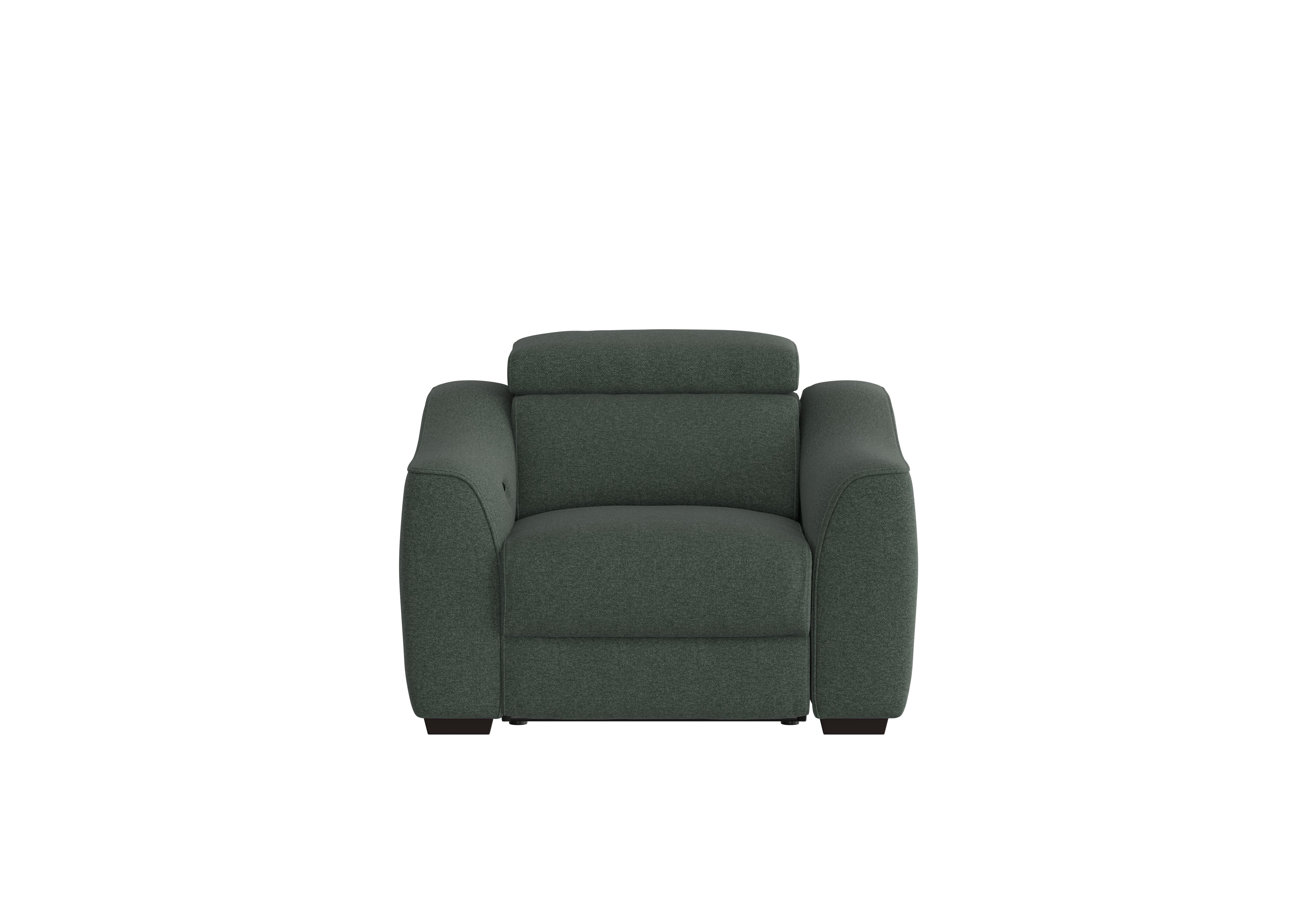 Elixir Fabric Armchair in Fab-Ska-R48 Moss Green on Furniture Village