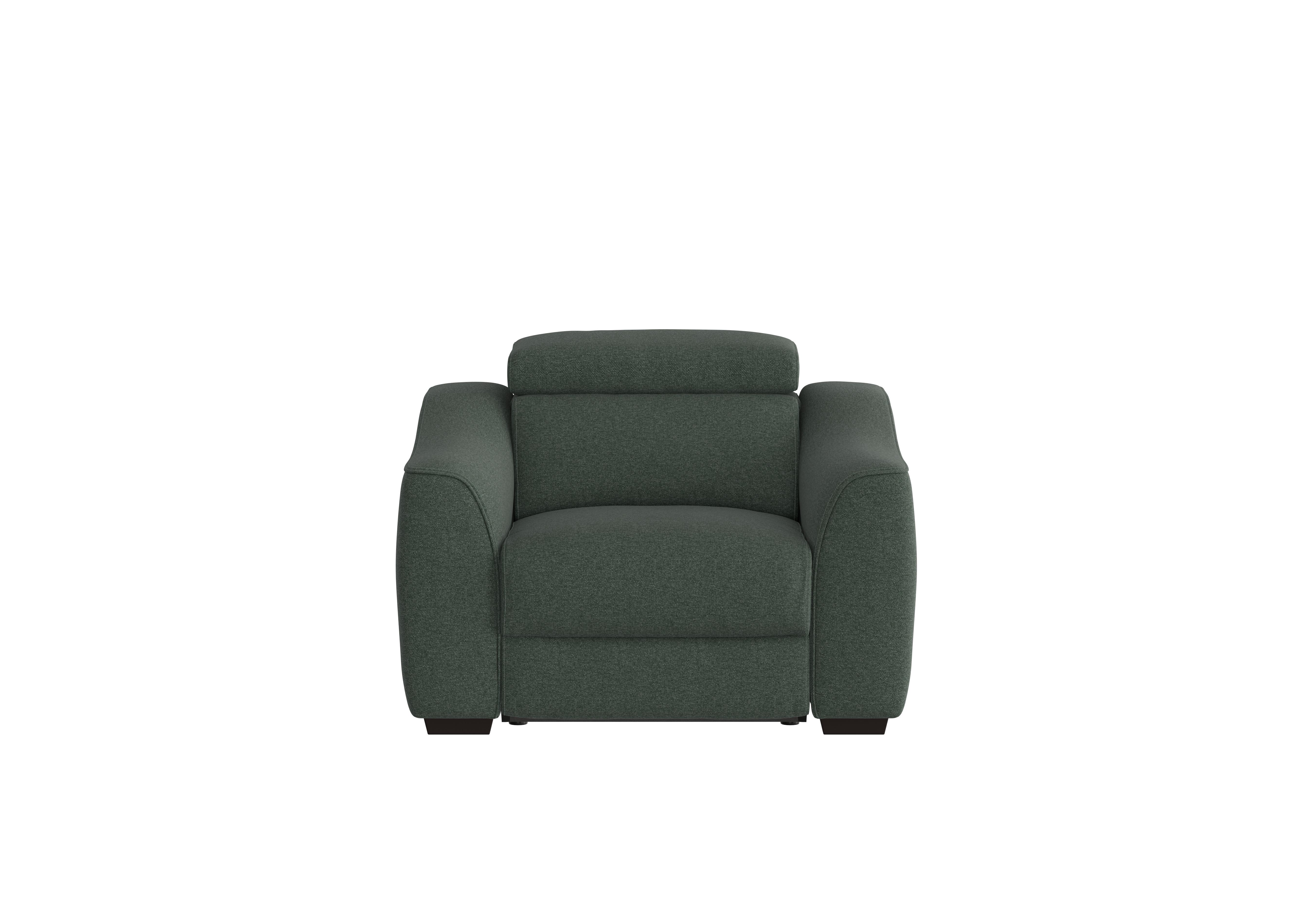 Elixir Fabric Armchair in Fab-Ska-R48 Moss Green on Furniture Village