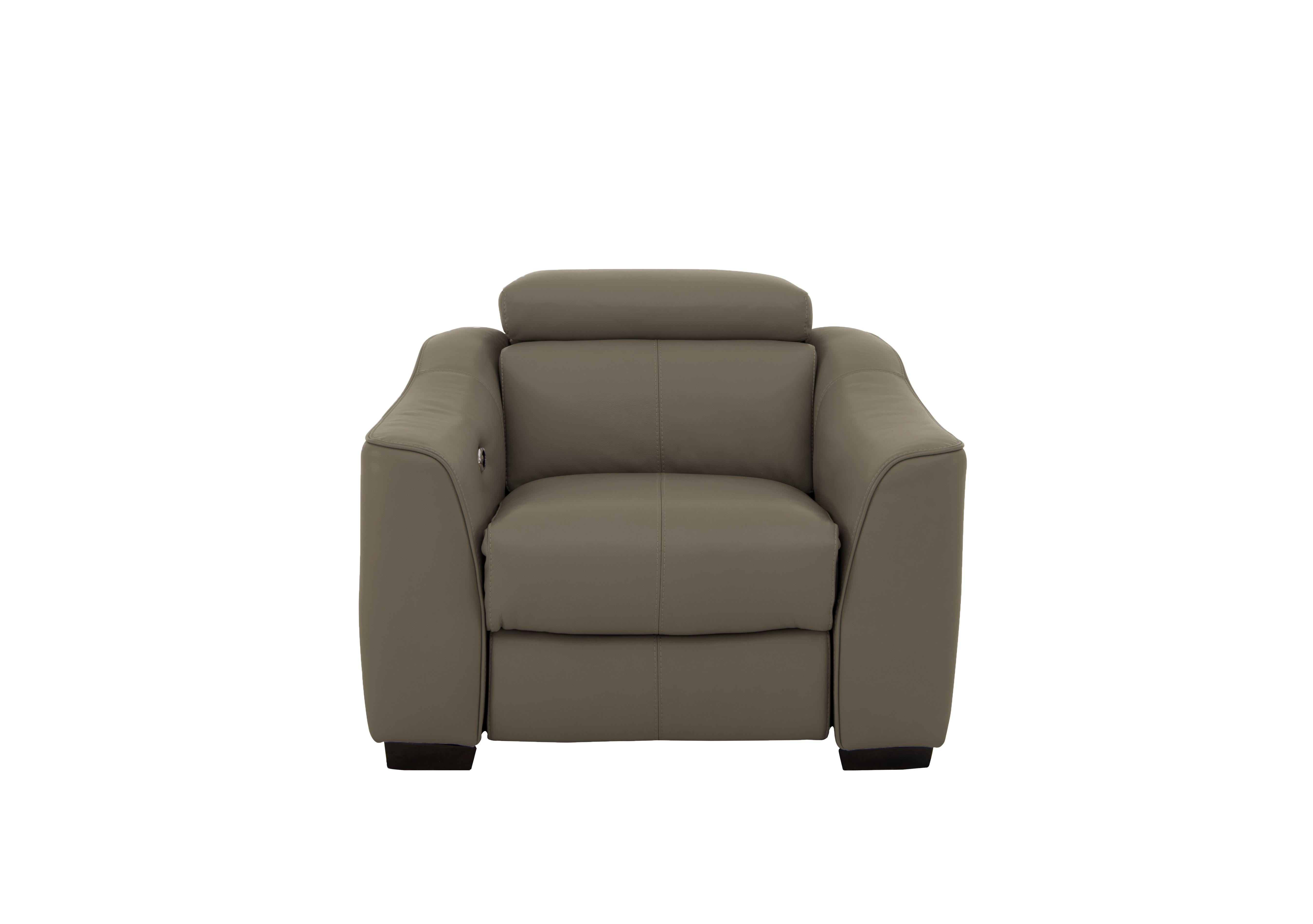 Elixir Leather Armchair in Bv-042e Elephant on Furniture Village