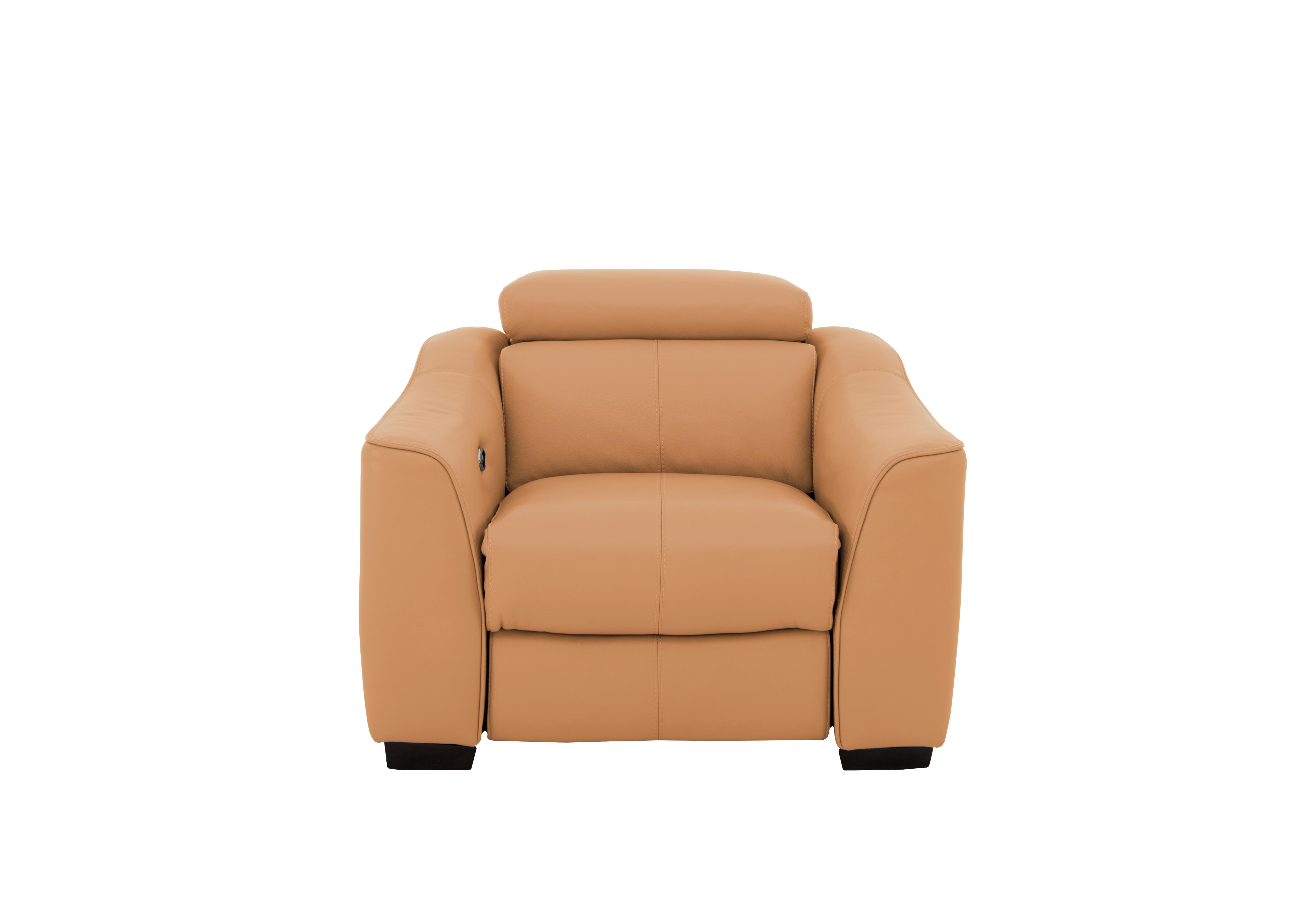 Elixir Leather Armchair in Bv-335e Honey Yellow on Furniture Village