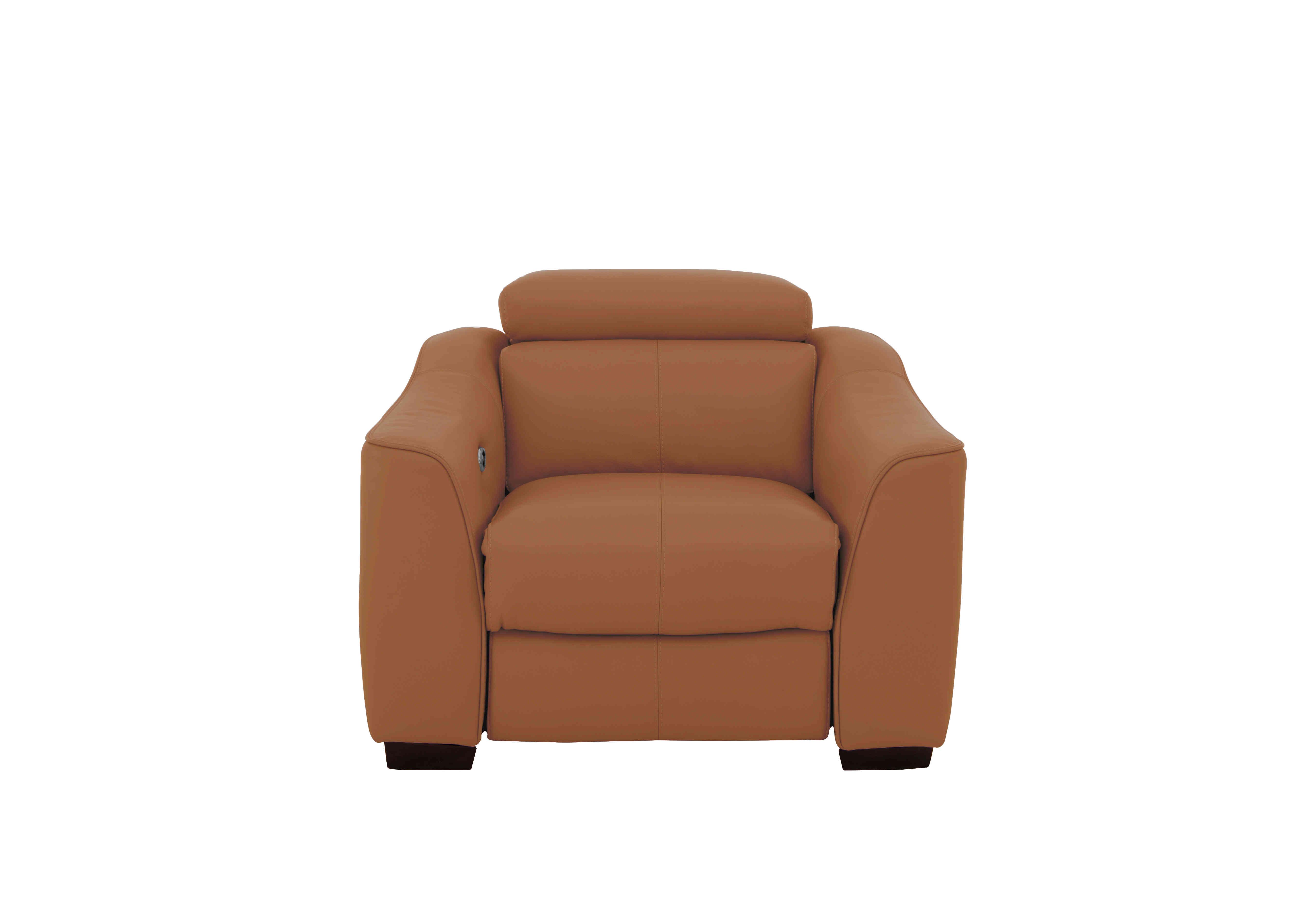 Elixir Leather Armchair in Nc-334e Pecan Brown on Furniture Village