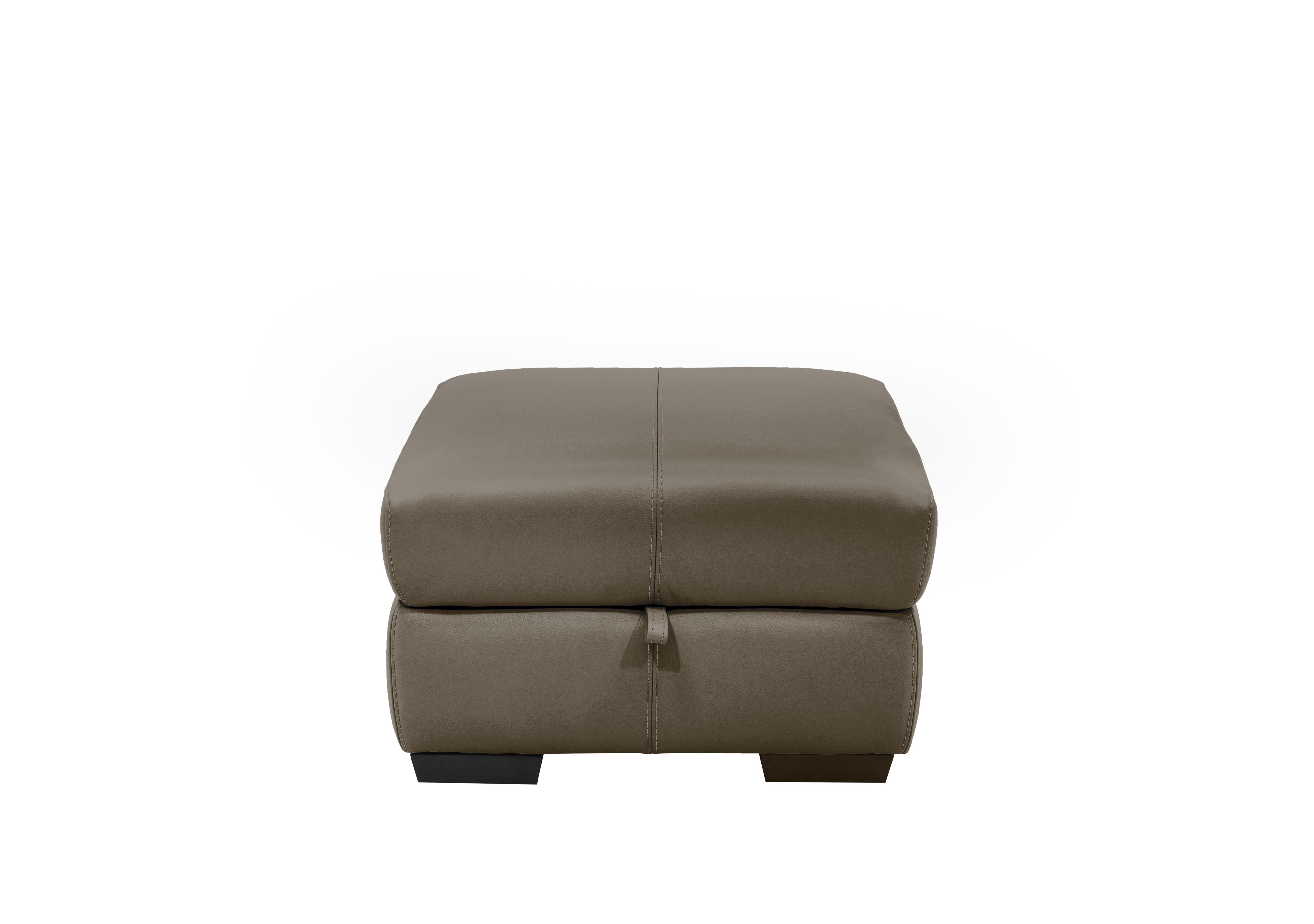 Elixir Leather Storage Footstool in Bv-042e Elephant on Furniture Village