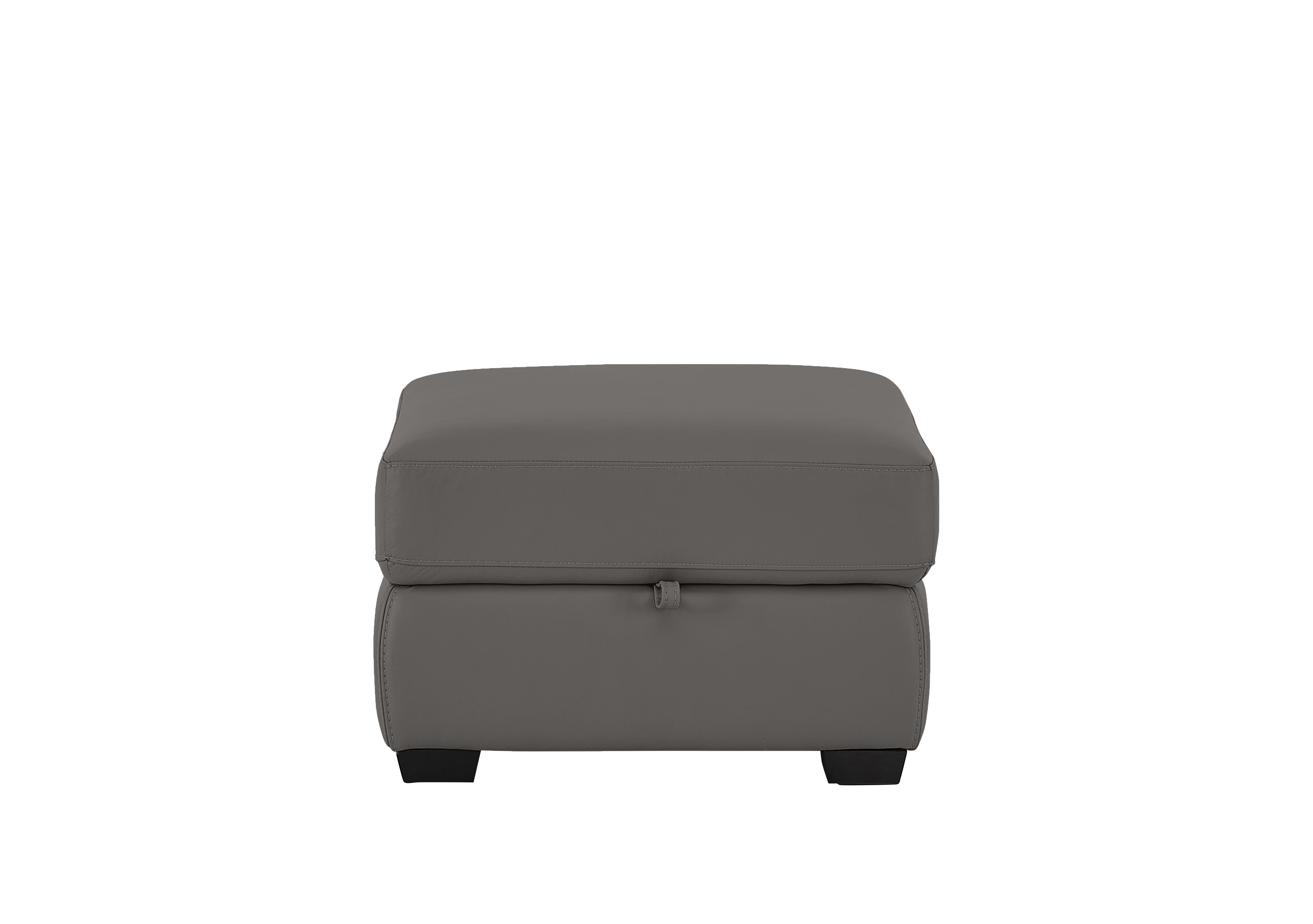 Compact Collection Petit Leather Storage Footstool in Bv-042e Elephant on Furniture Village