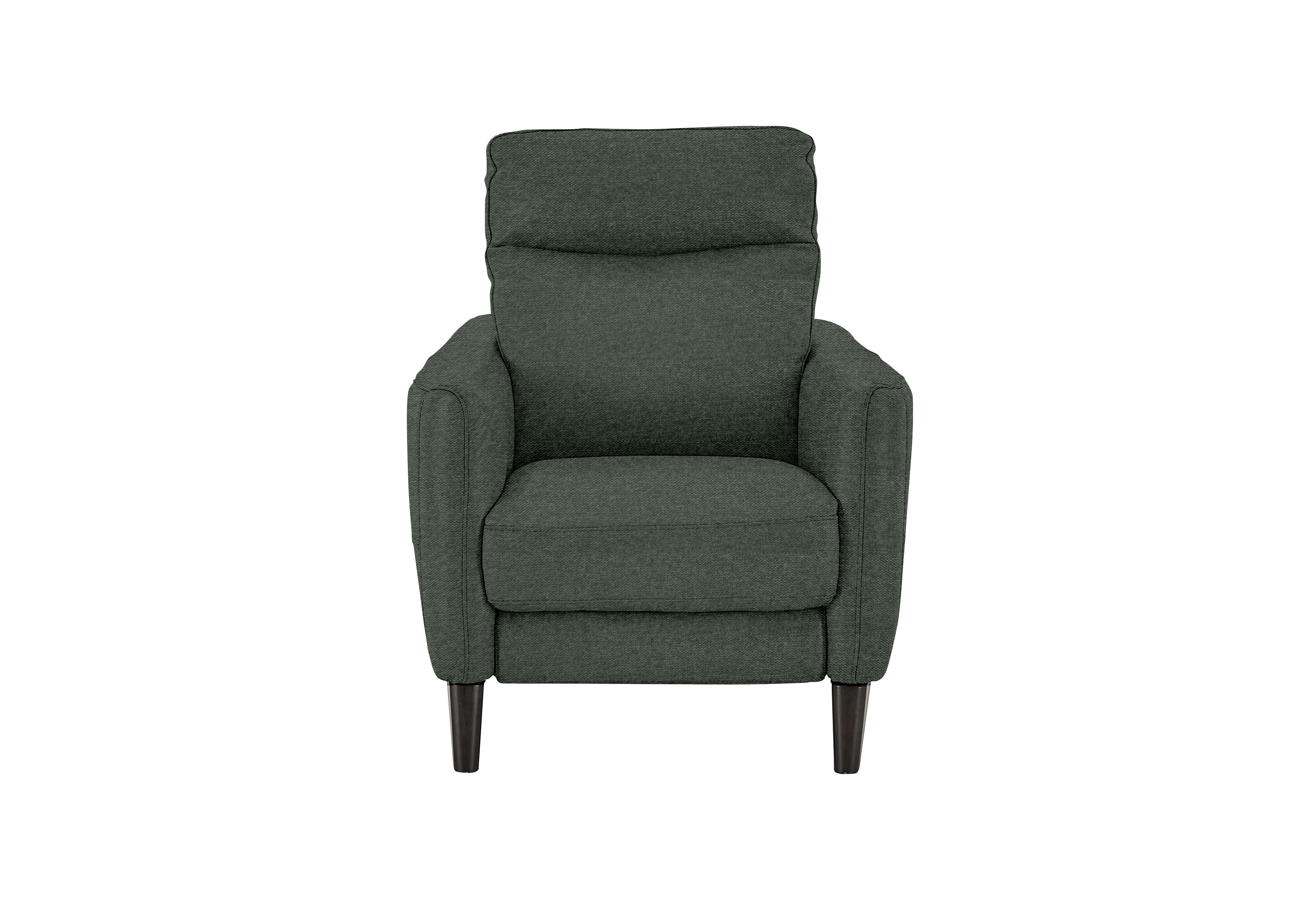 Compact Collection Petit Fabric Armchair in Fab-Ska-R48 Moss Green on Furniture Village