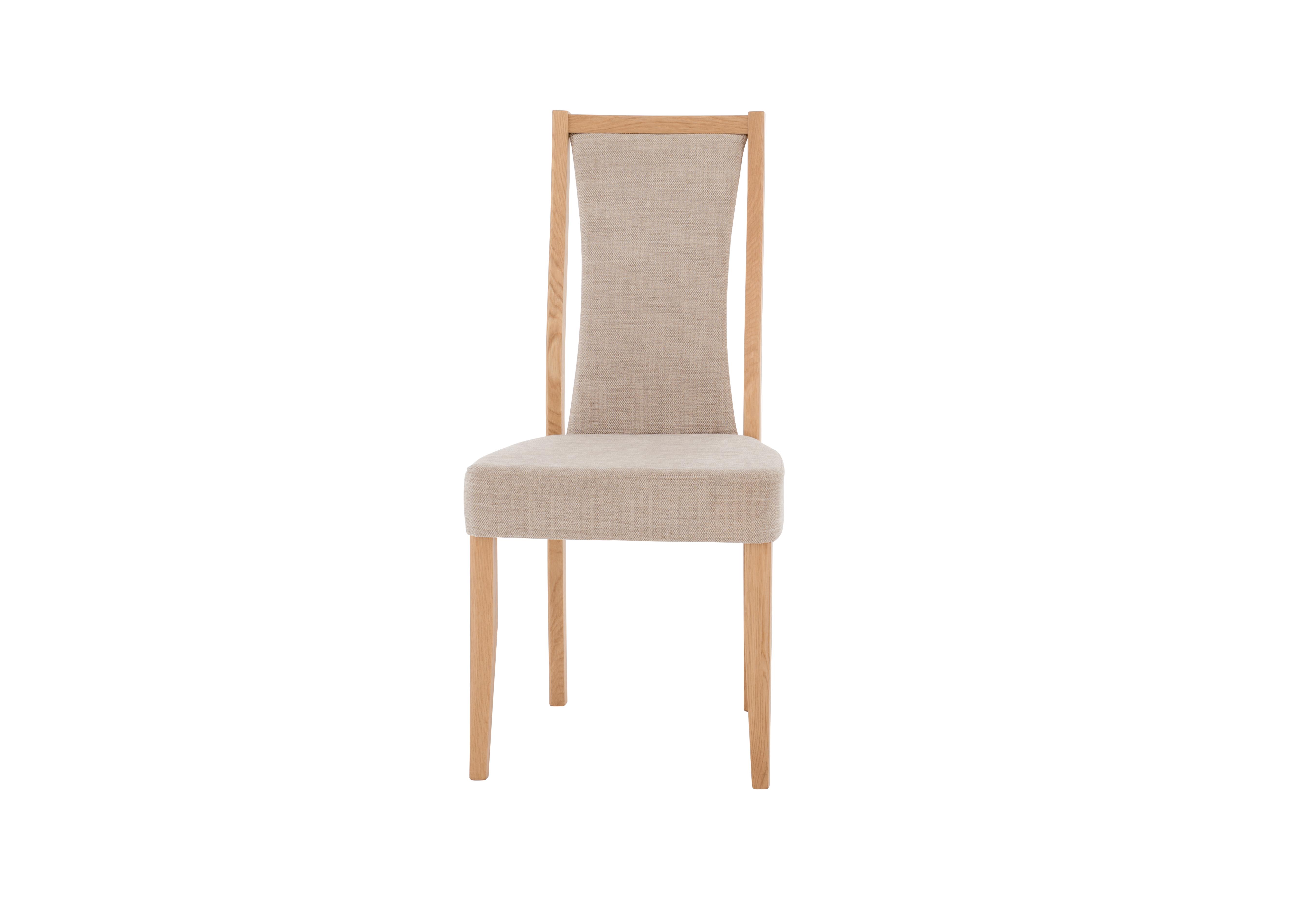 Artisan Padded Back Dining Chair in C415 on Furniture Village
